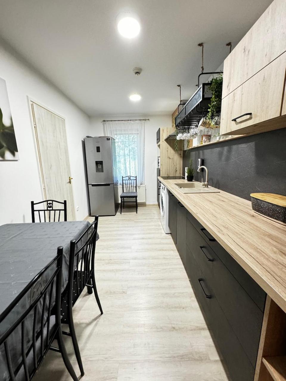 SZE Business Apartman view 5