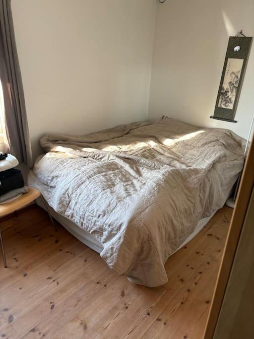 Two bedrooms, own bathroom and kitchenette, 5 minutes from ONS view 5