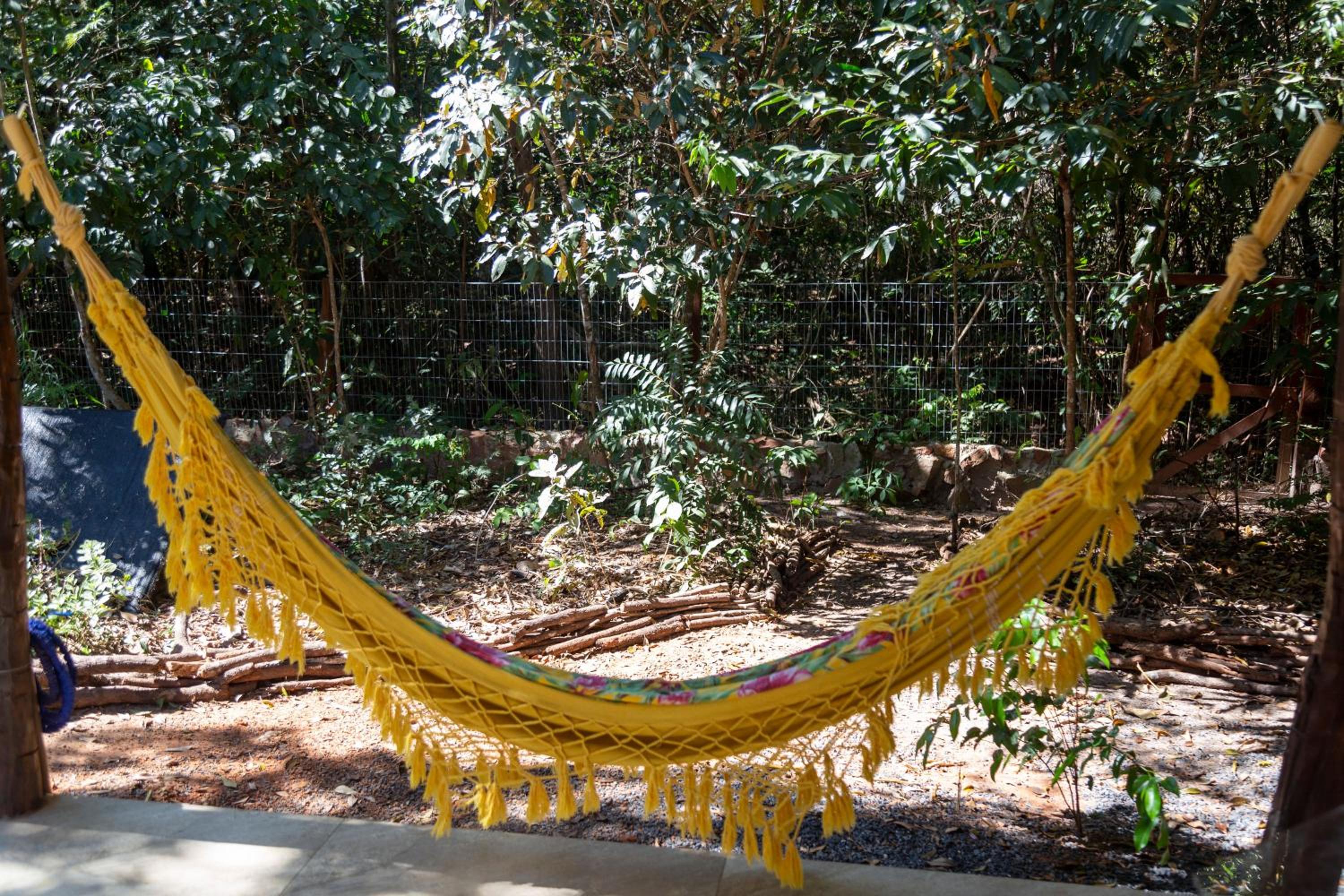Floresta Encantada