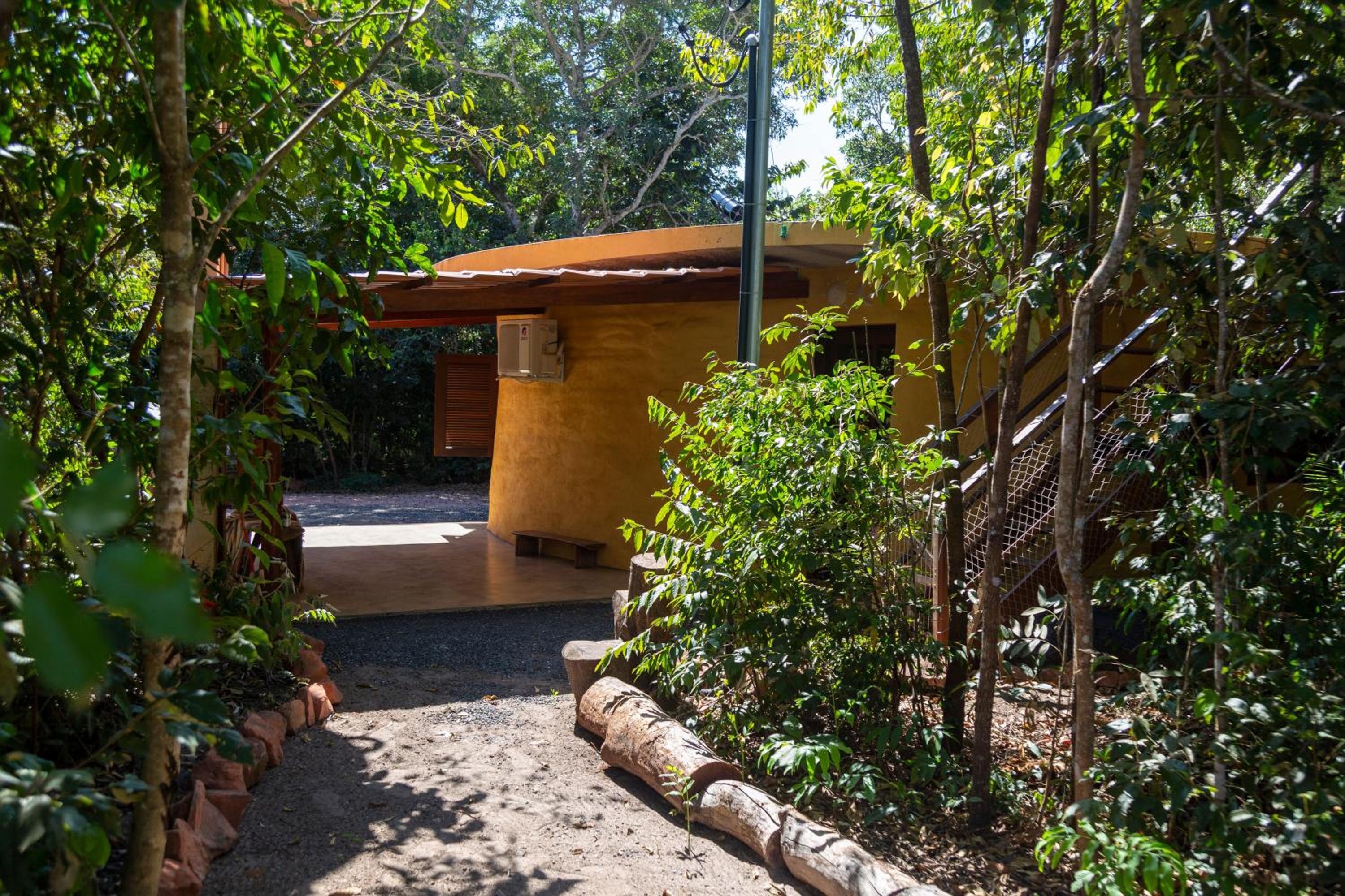 Floresta Encantada