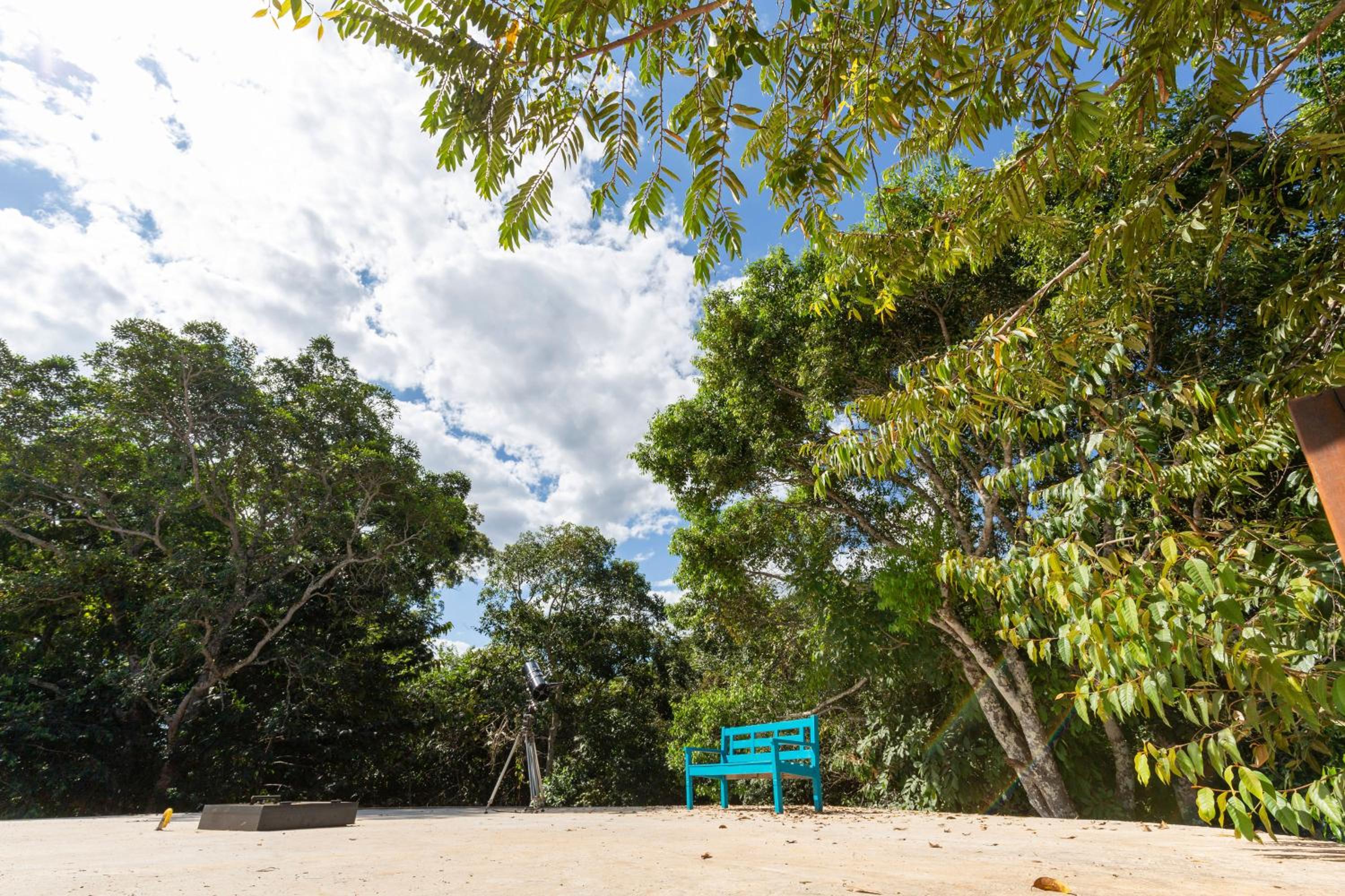 Floresta Encantada