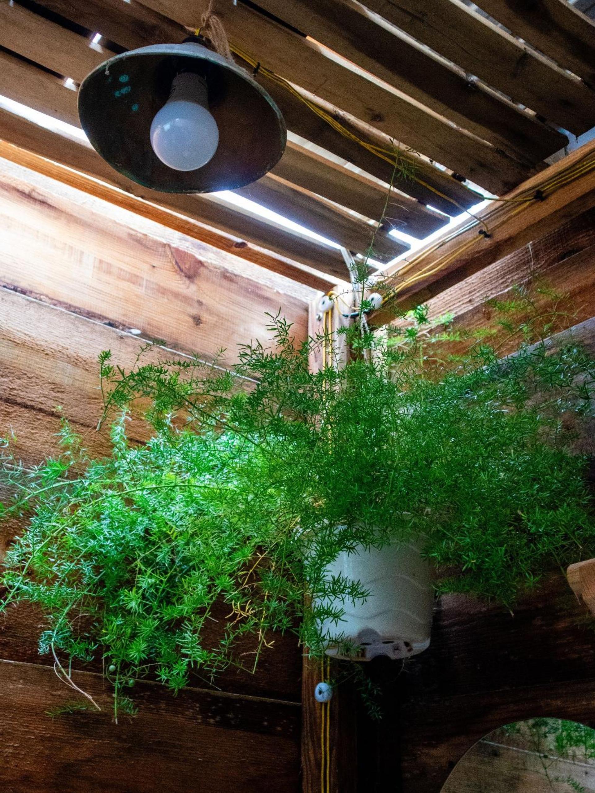 Dreams Come True Homestay Đà Lạt
