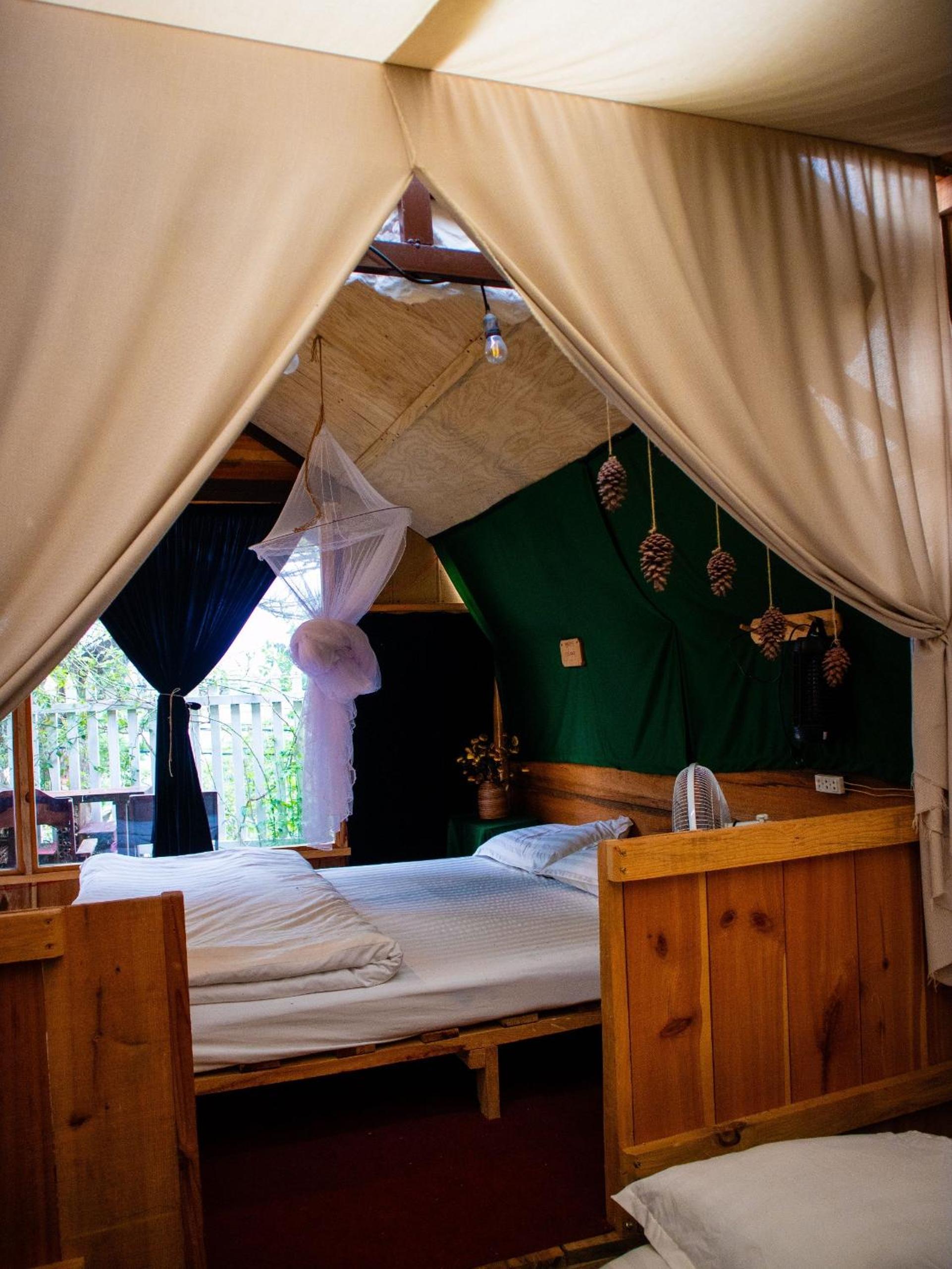 Dreams Come True Homestay Đà Lạt