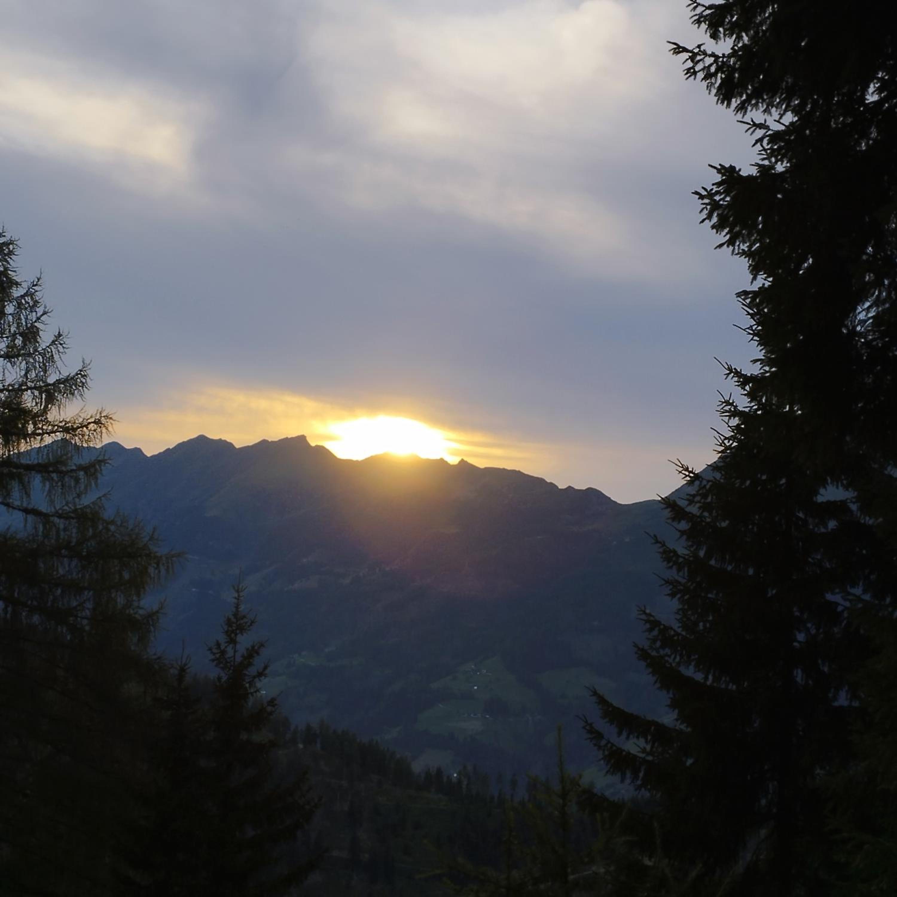 Panoramablick Line