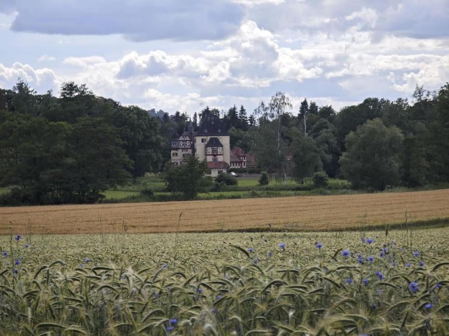 Historische Mühle am Schloss