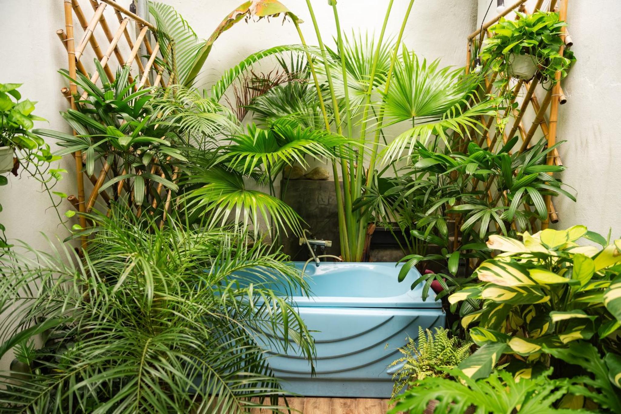 Tropical House