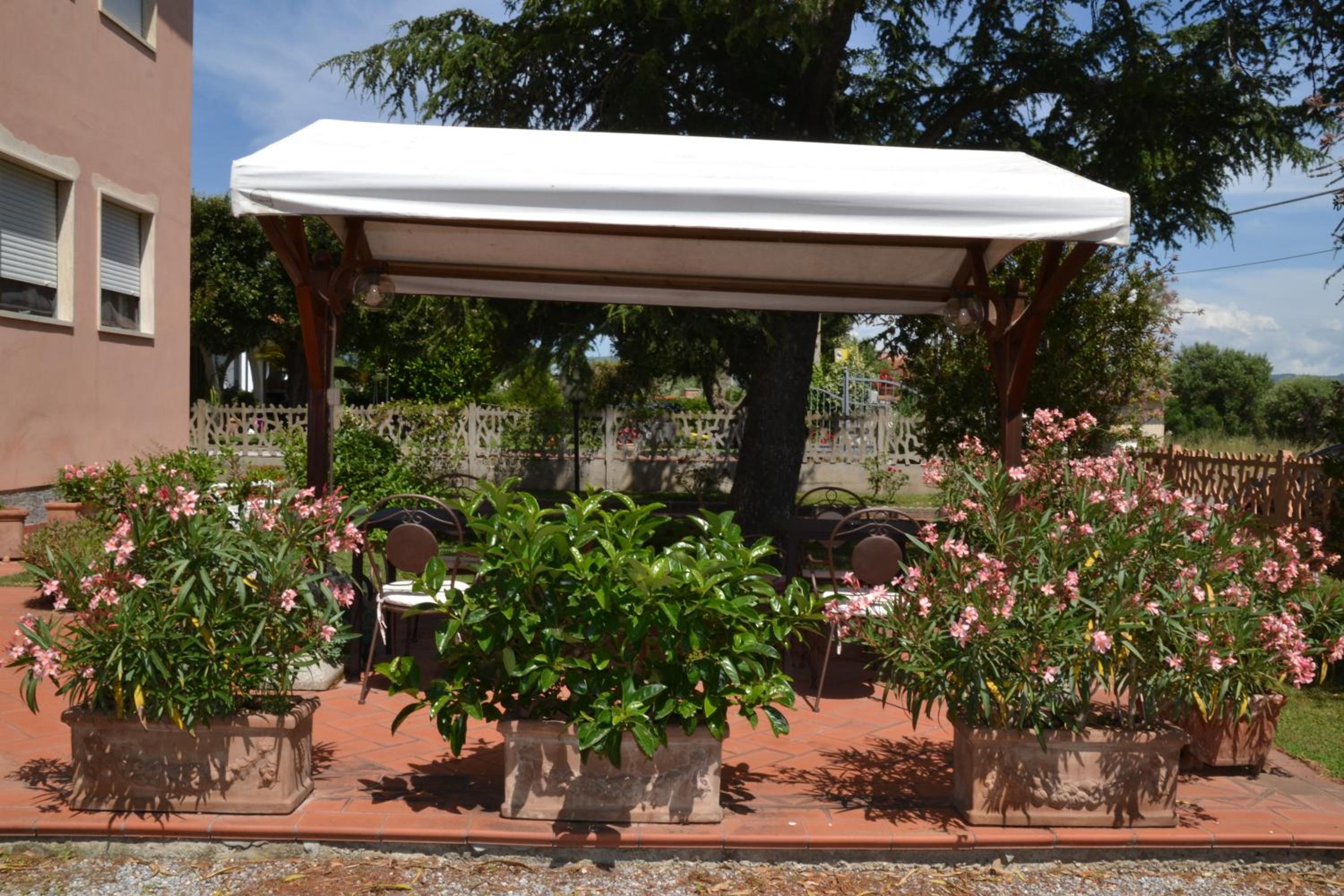 La Mimosa