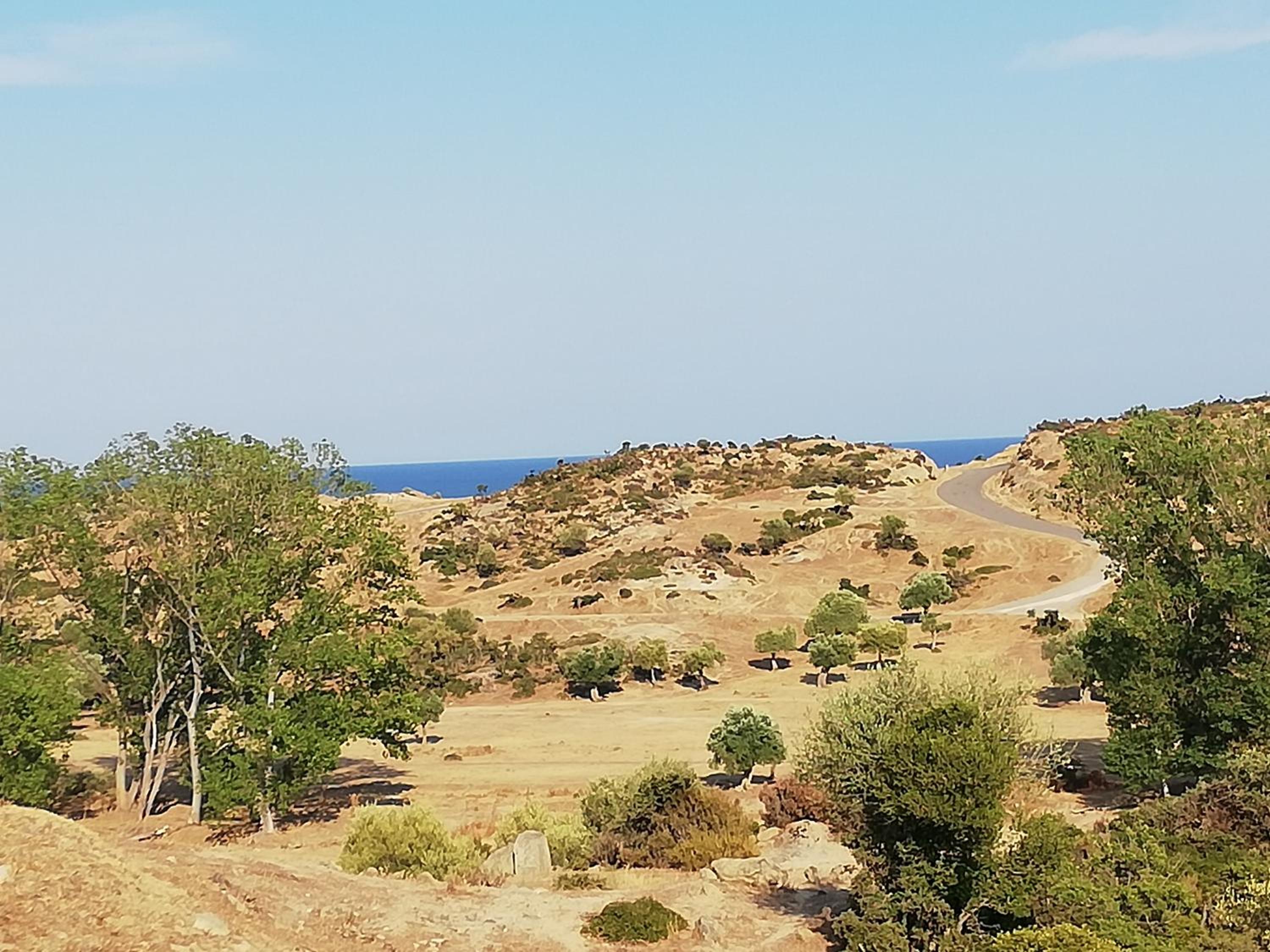 EFThea Valley
