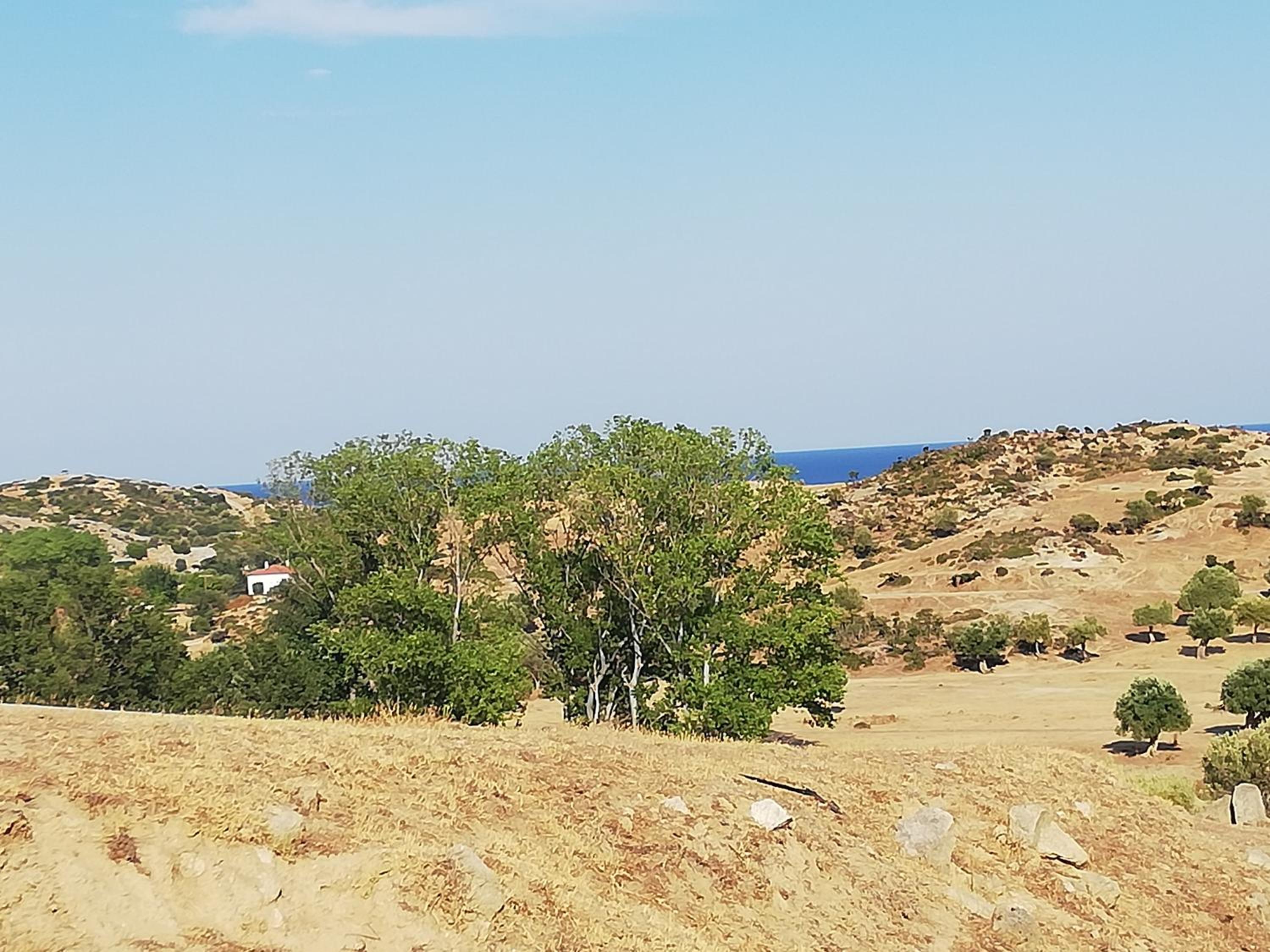 EFThea Valley