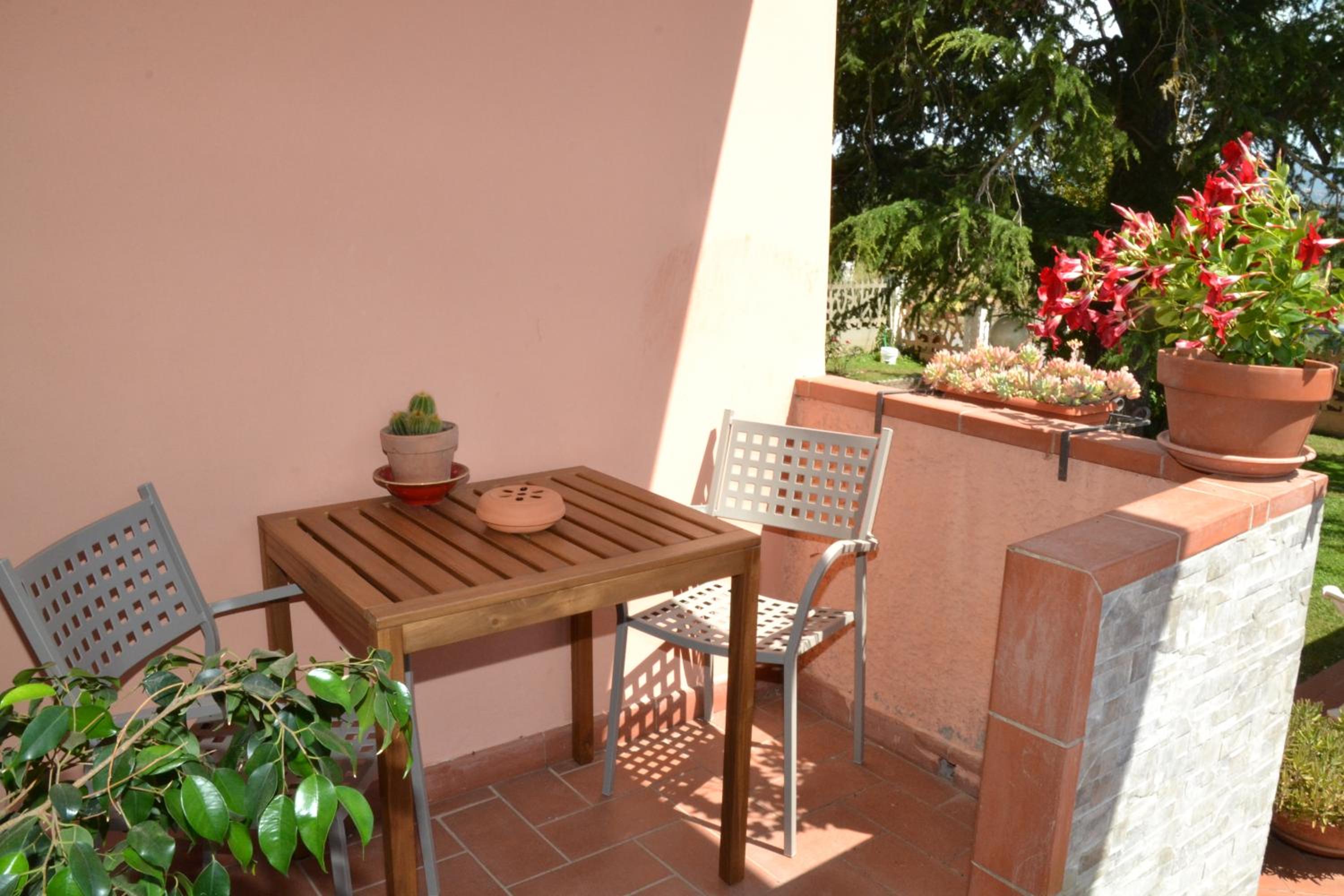 La Mimosa
