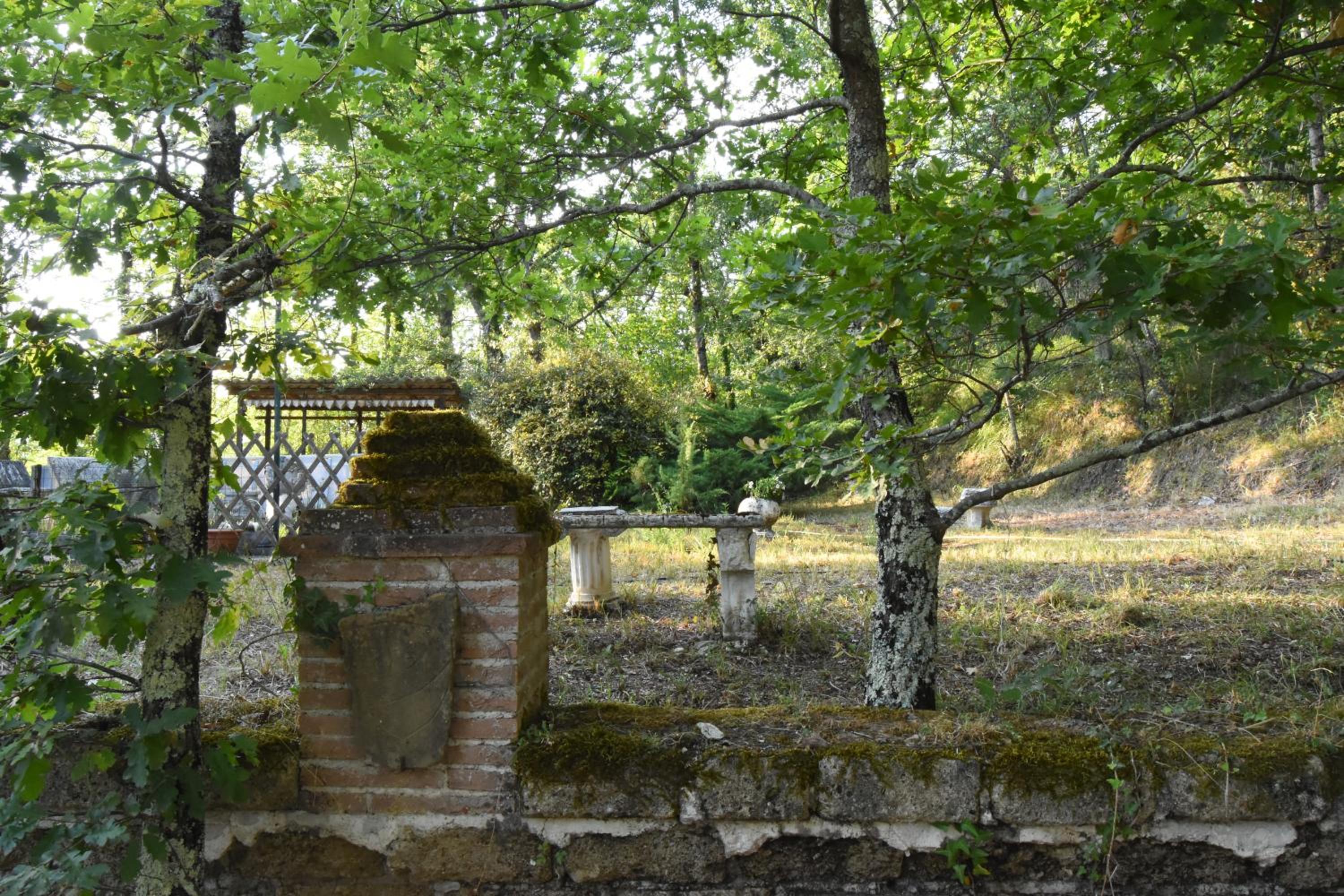 Il castello nel bosco view 5