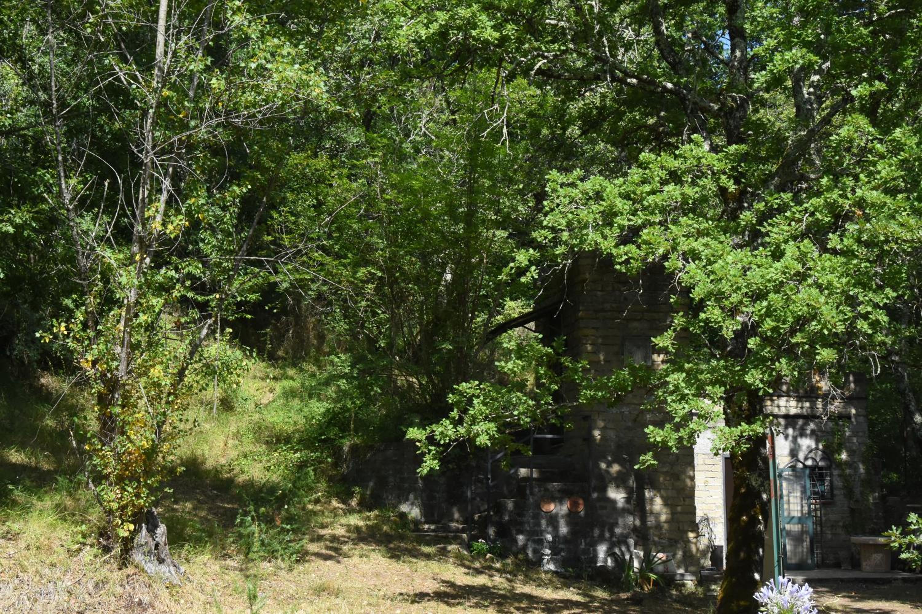 Photo 12
