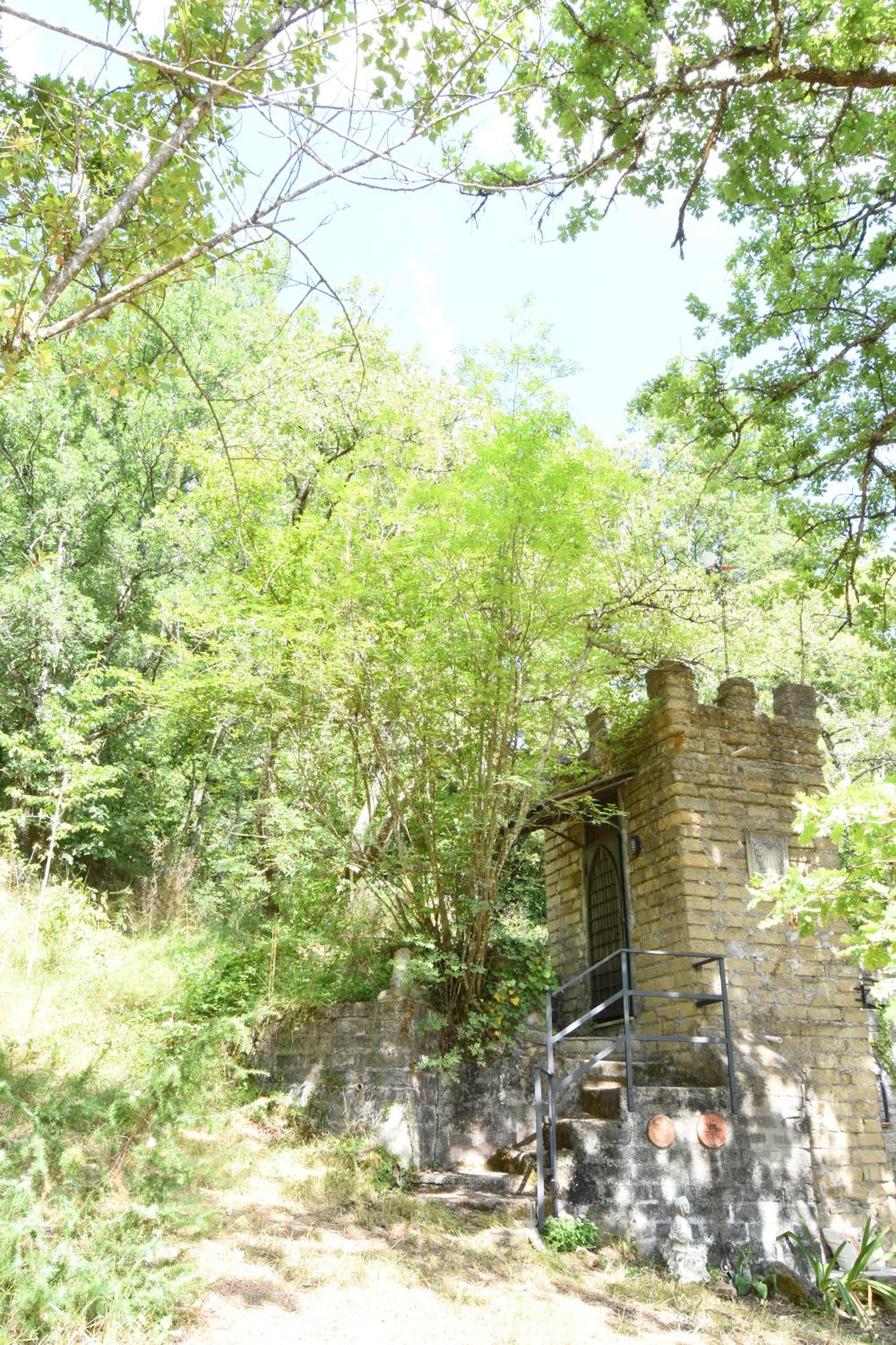 Photo 21