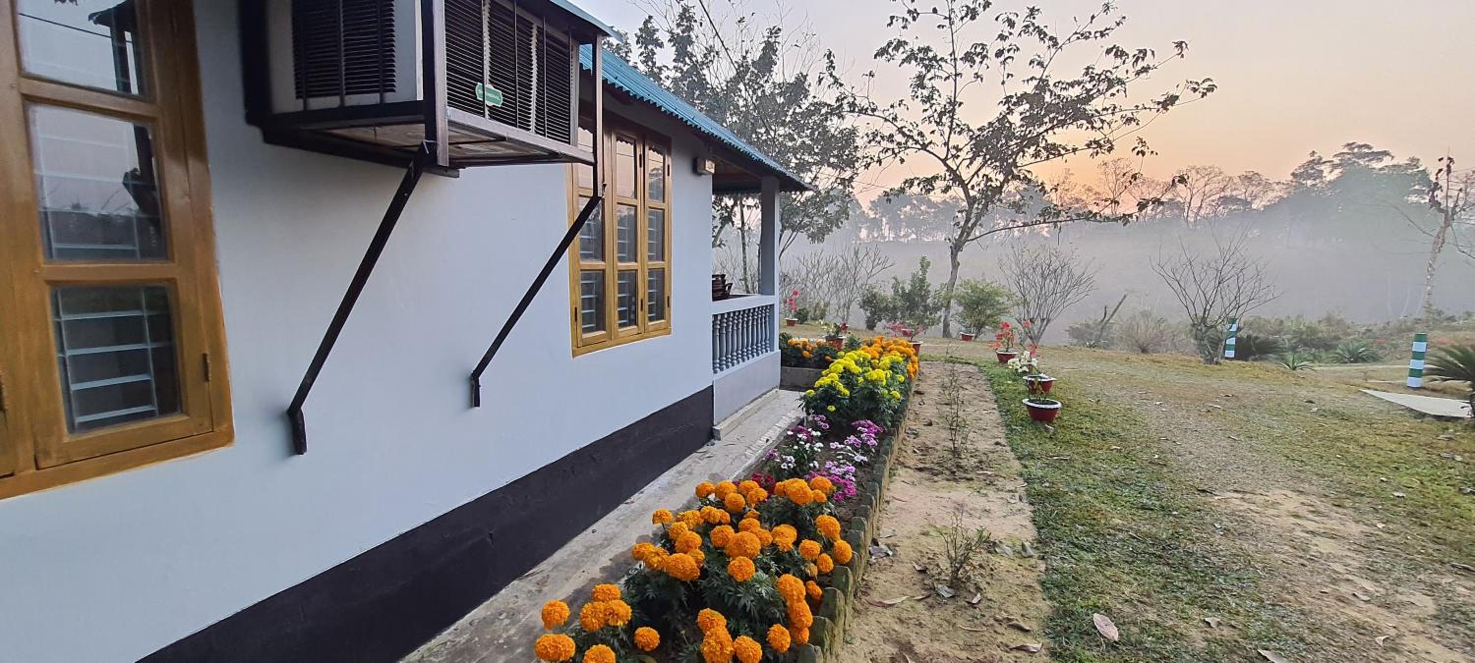 Faizabad Hills Tea Resort