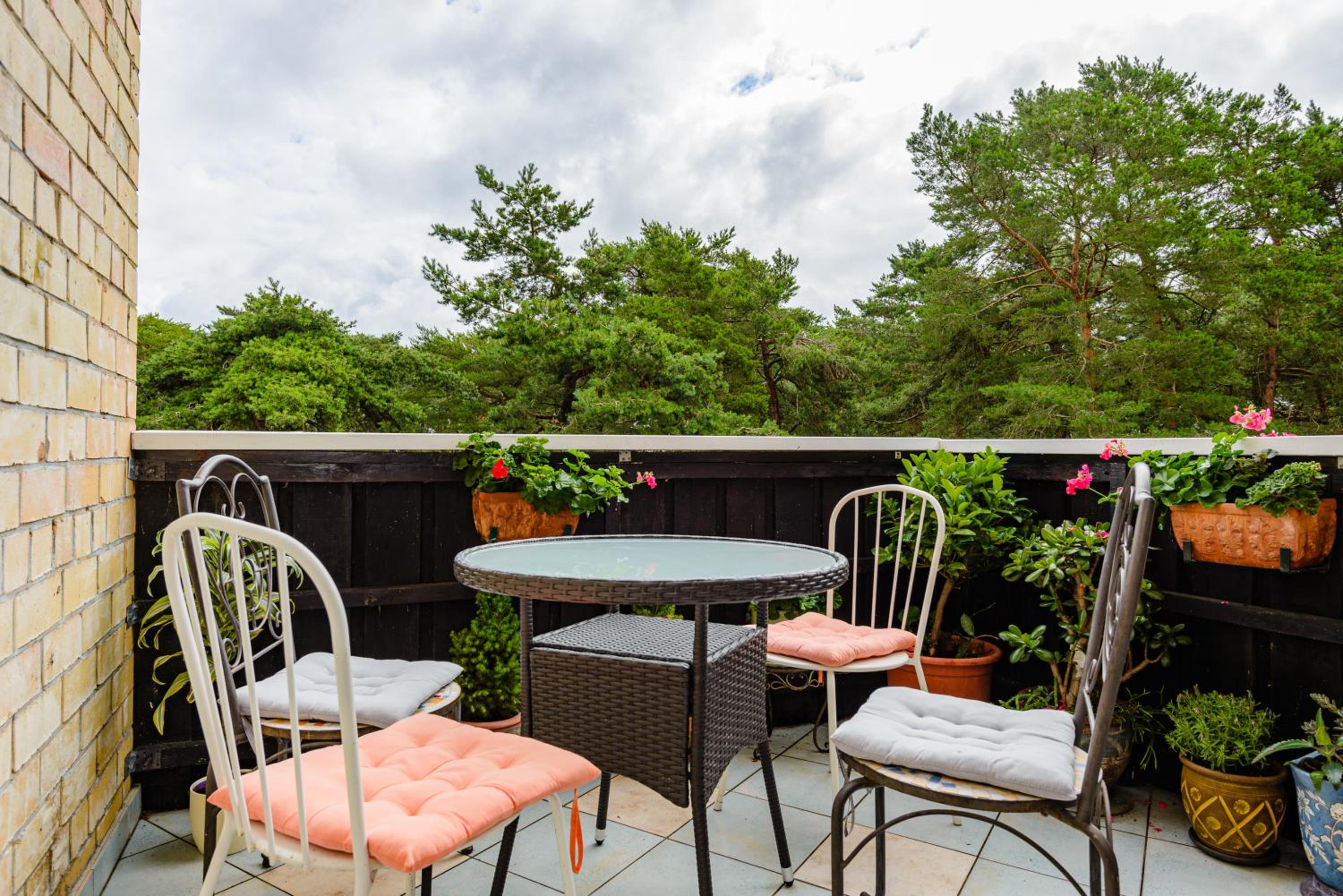 Apartamentas Zunda