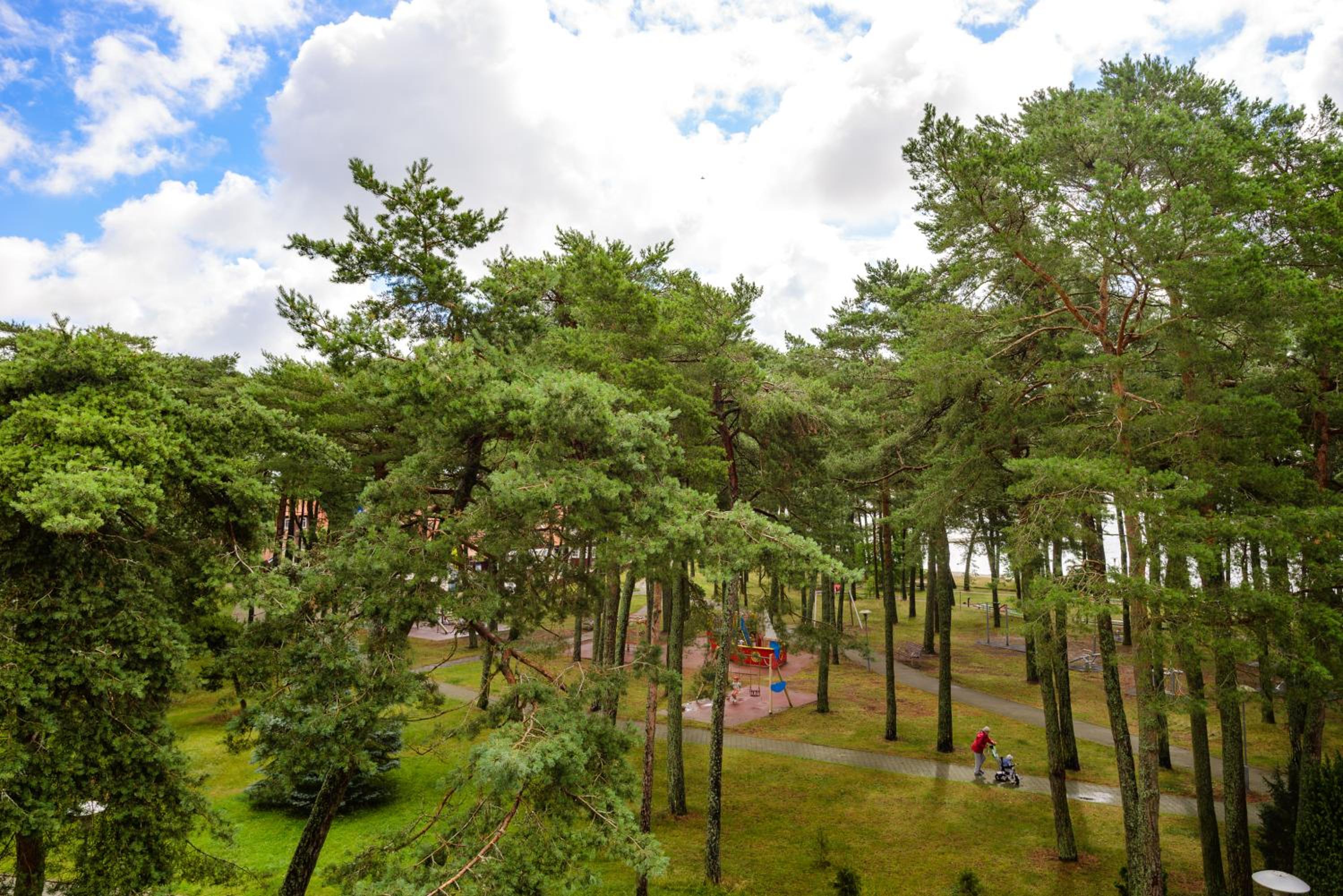 Apartamentas Zunda
