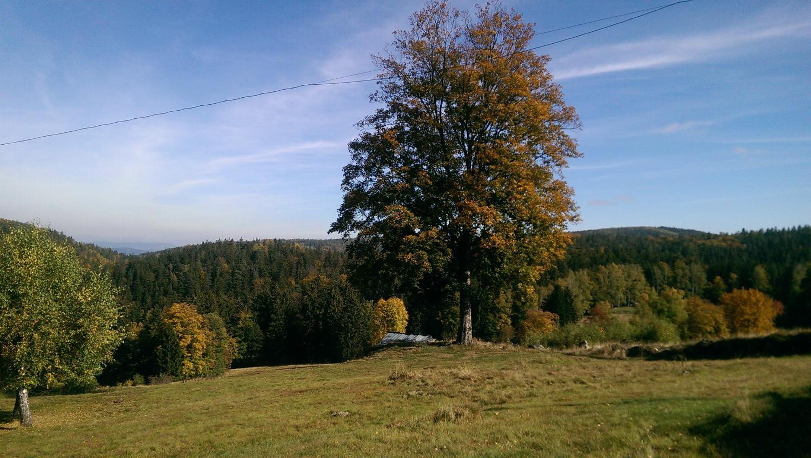 Pokoje Siódme Niebo, photo 23