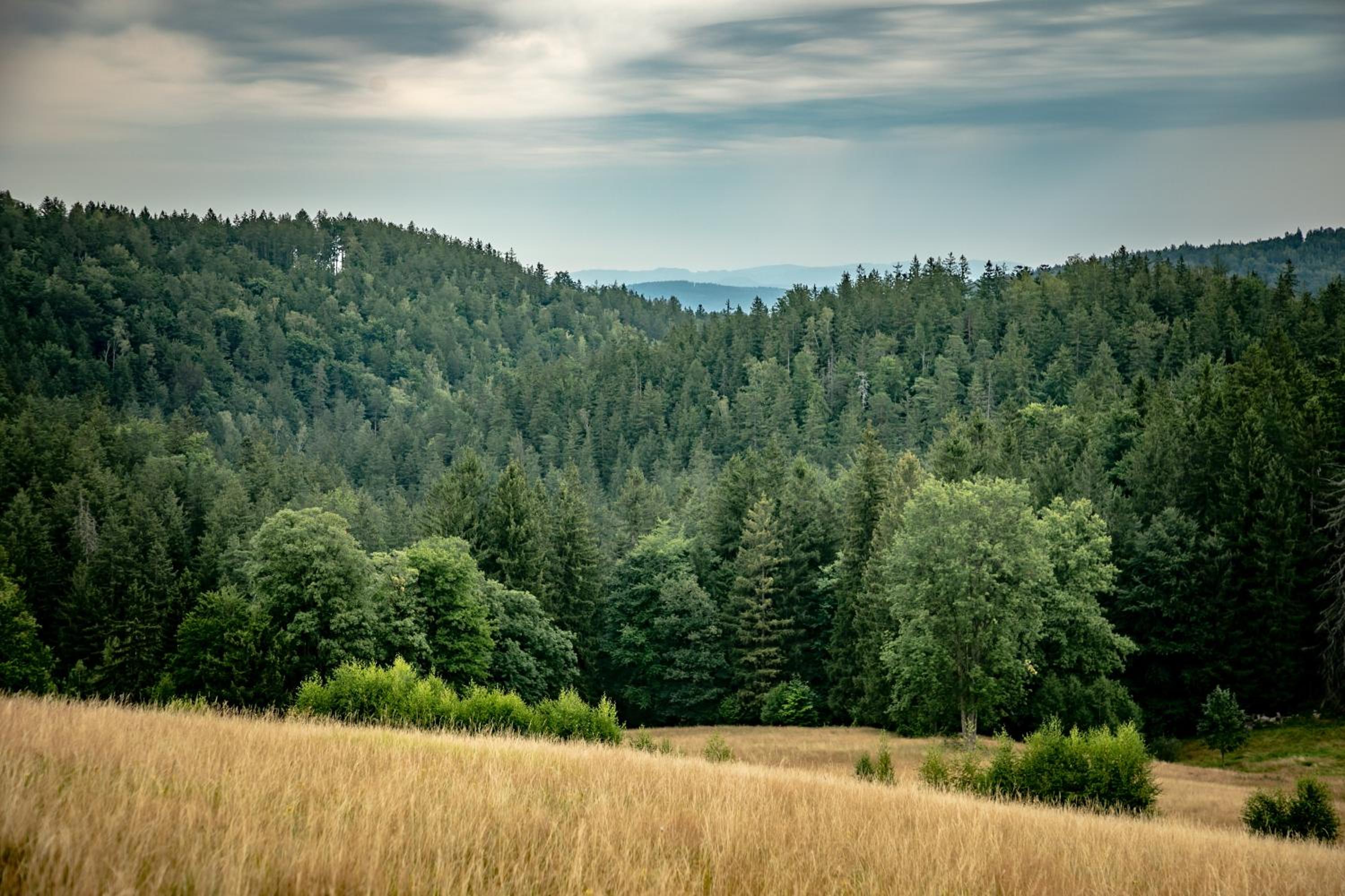 Pokoje Siódme Niebo, photo 55