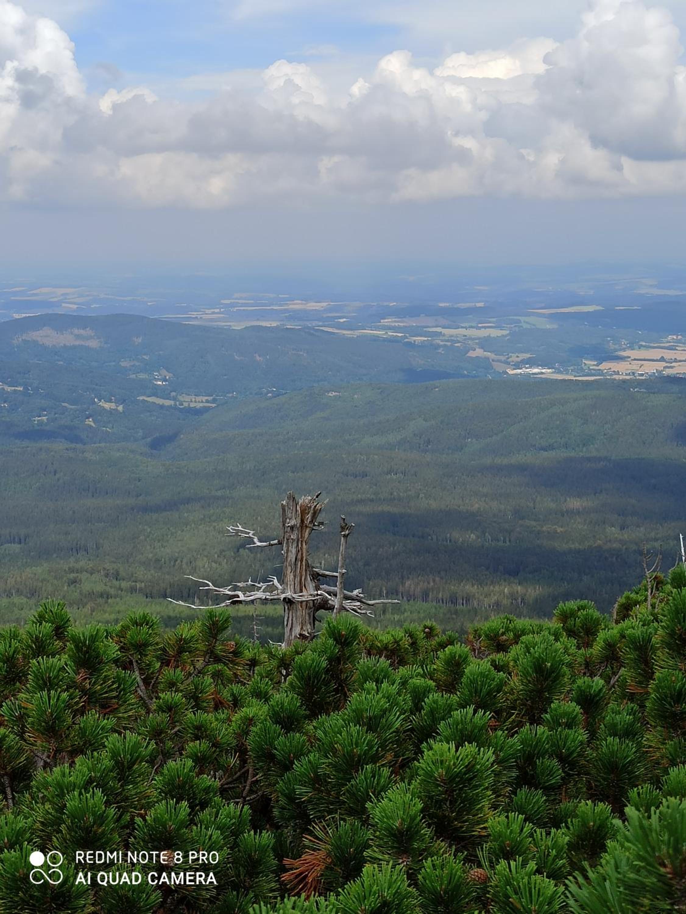 Pokoje Siódme Niebo, photo 40
