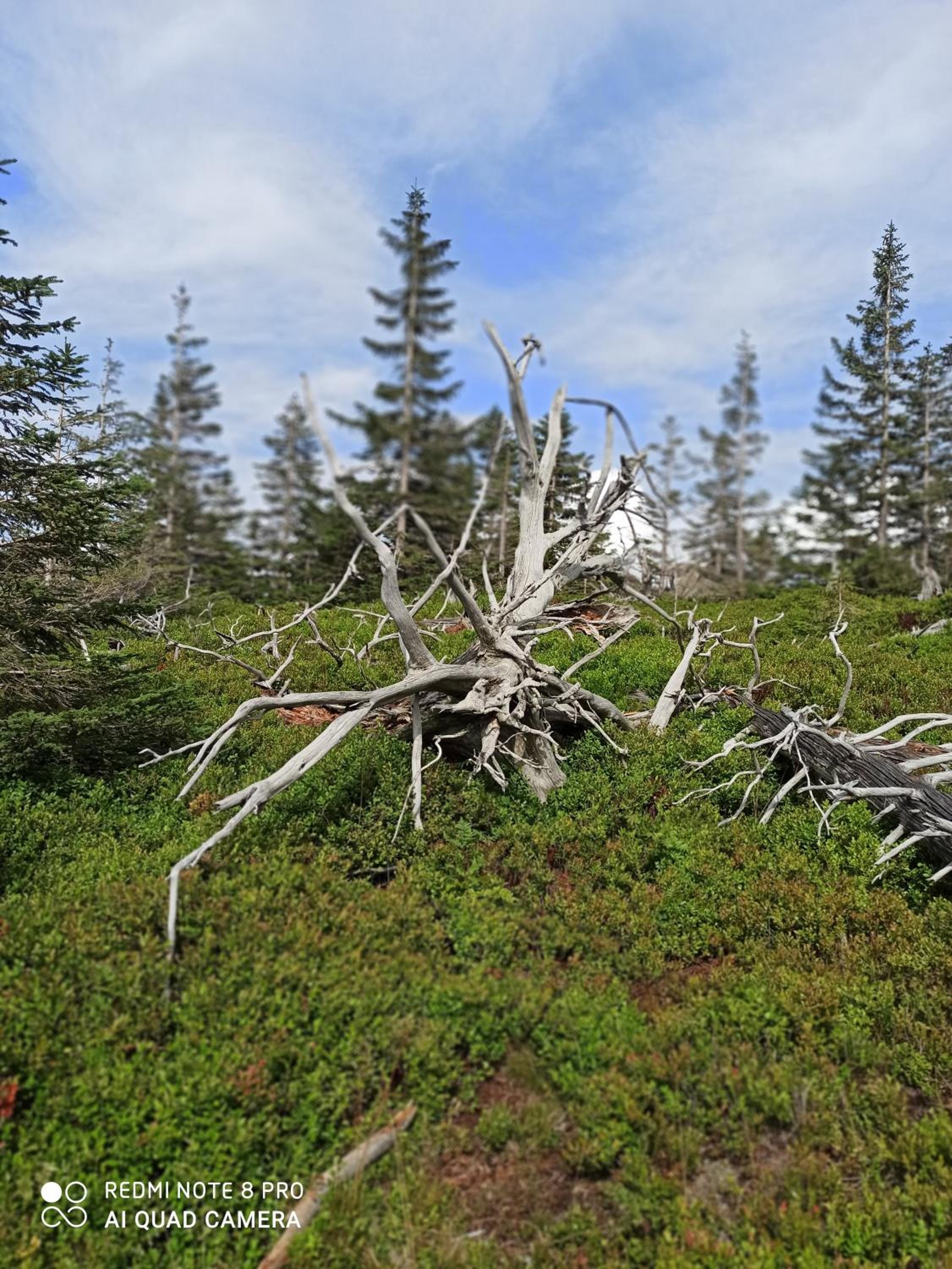 Pokoje Siódme Niebo, photo 20