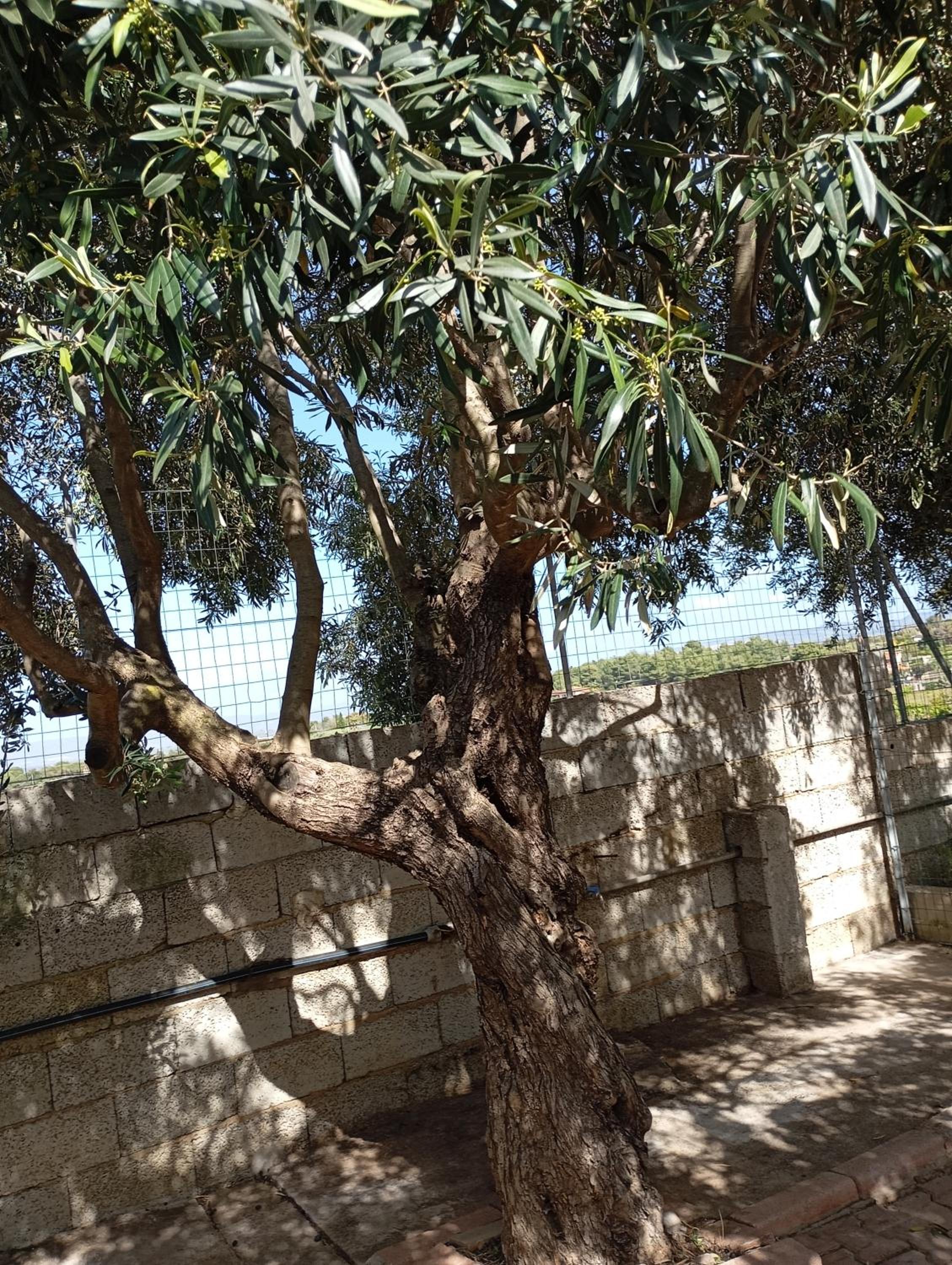 Photo 49