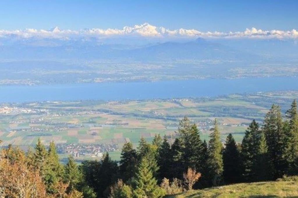 30C Route d'Arzier