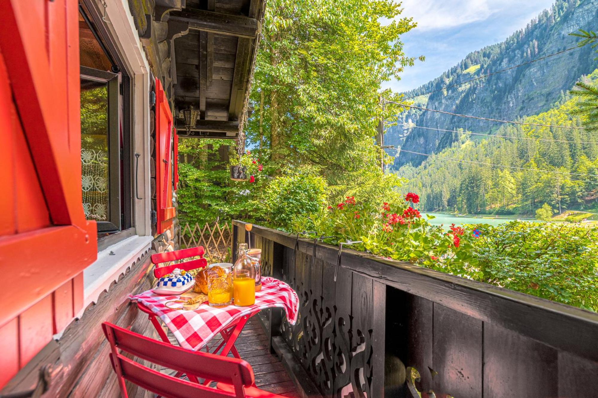 Le Petit Rêve - Lac de Montriond