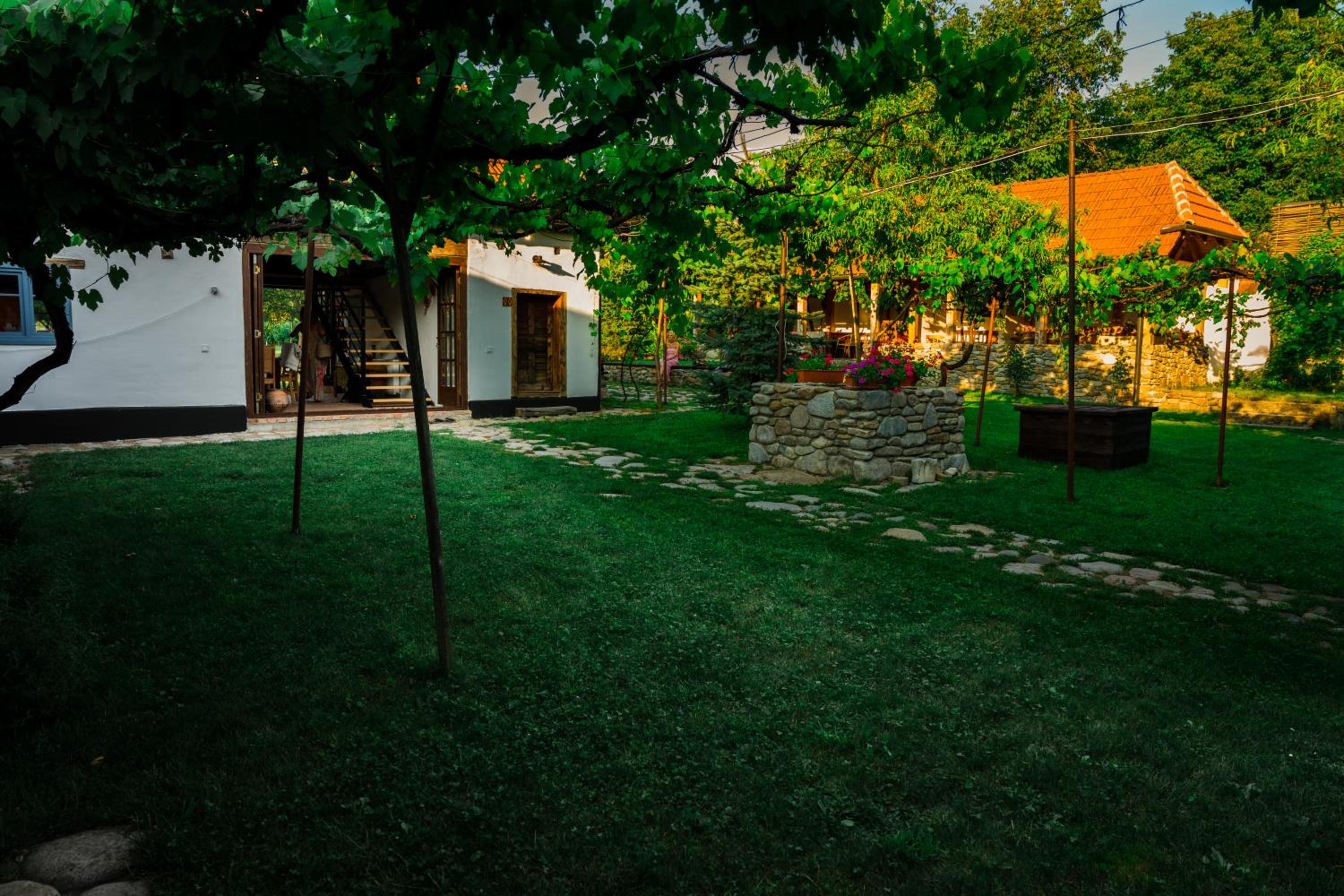 Casa Veche Leheceni in Apuseni view 2