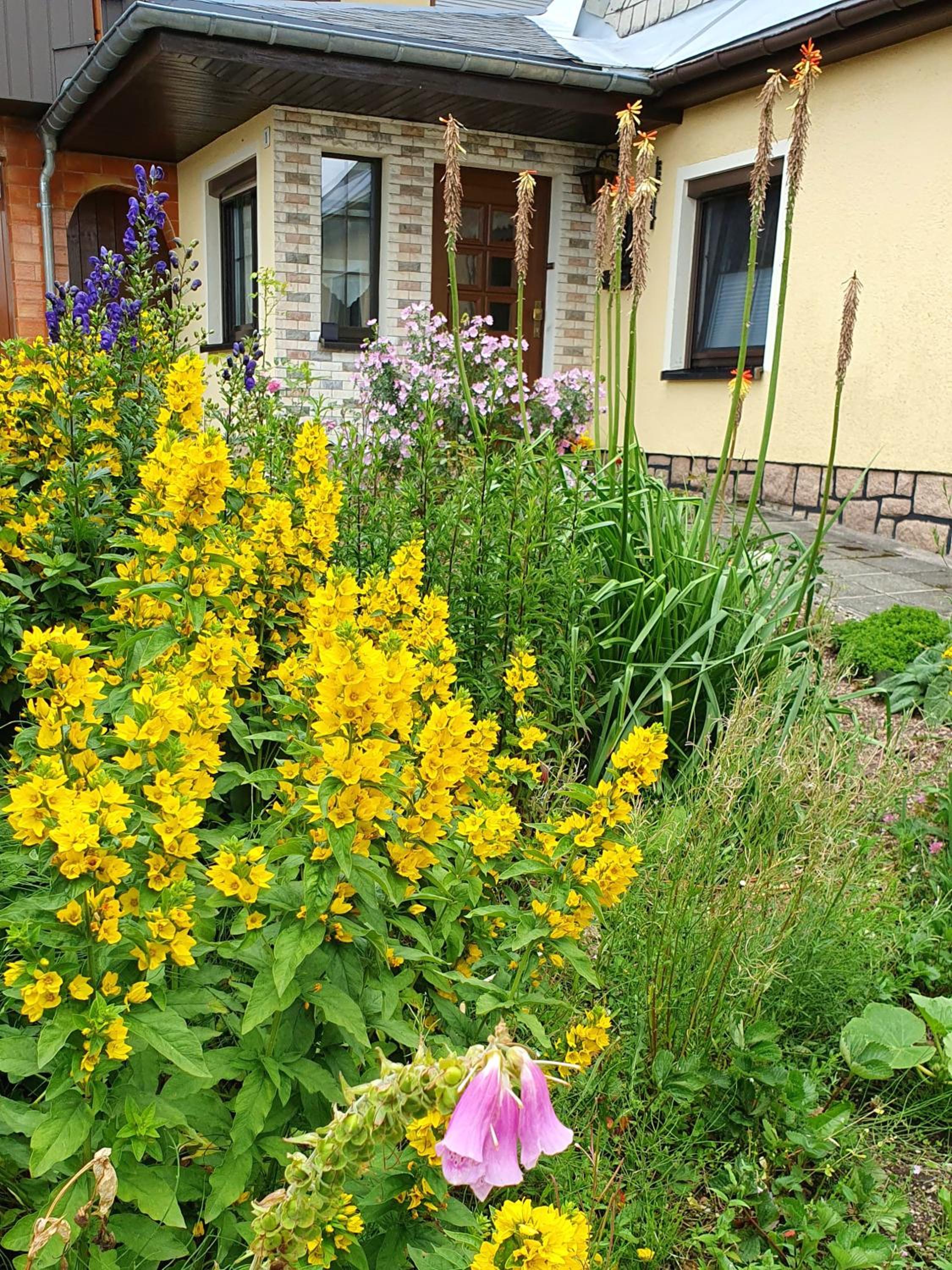 Ferienhaus Bringfriede