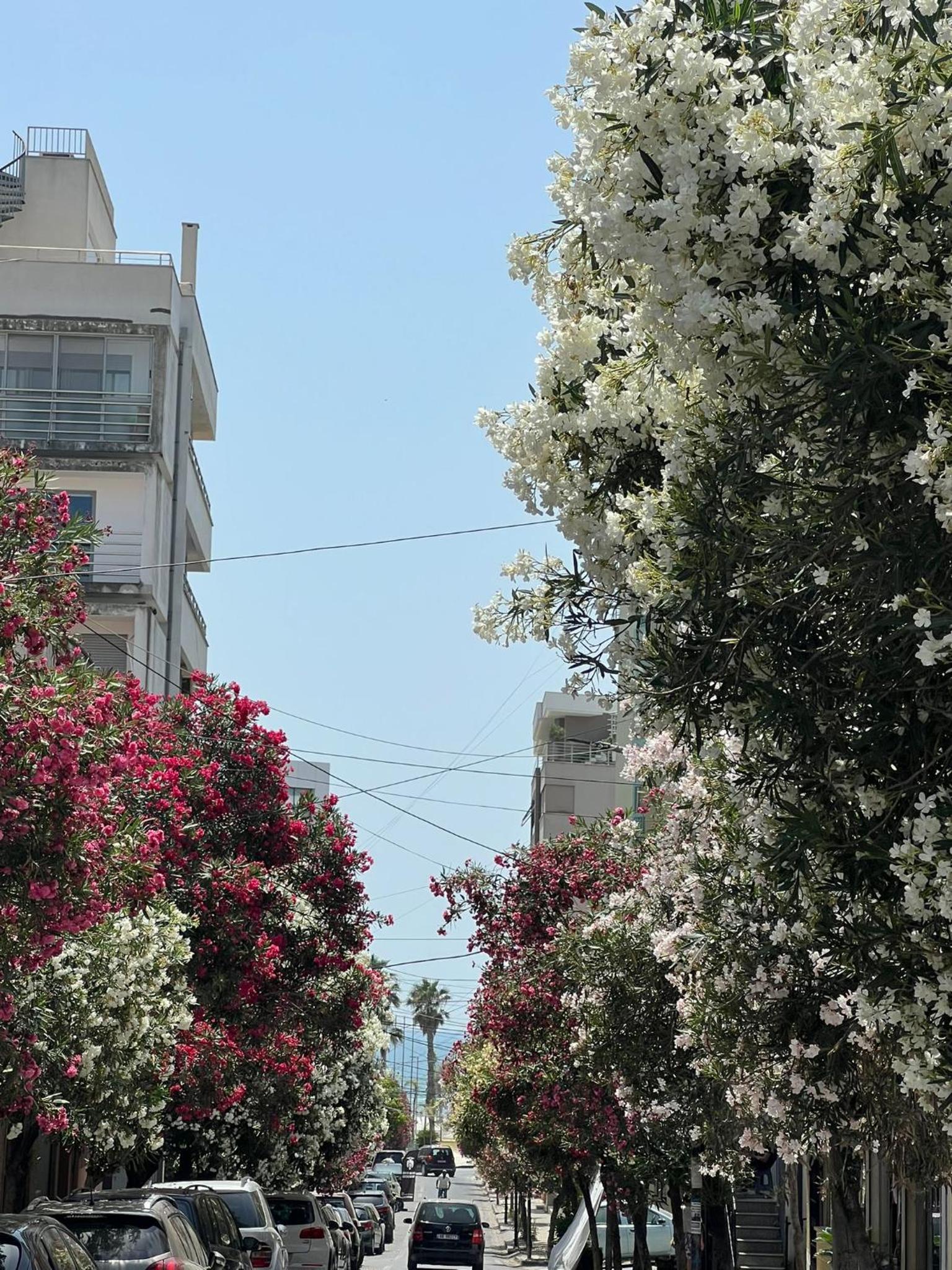 Durres Vintage Apartment