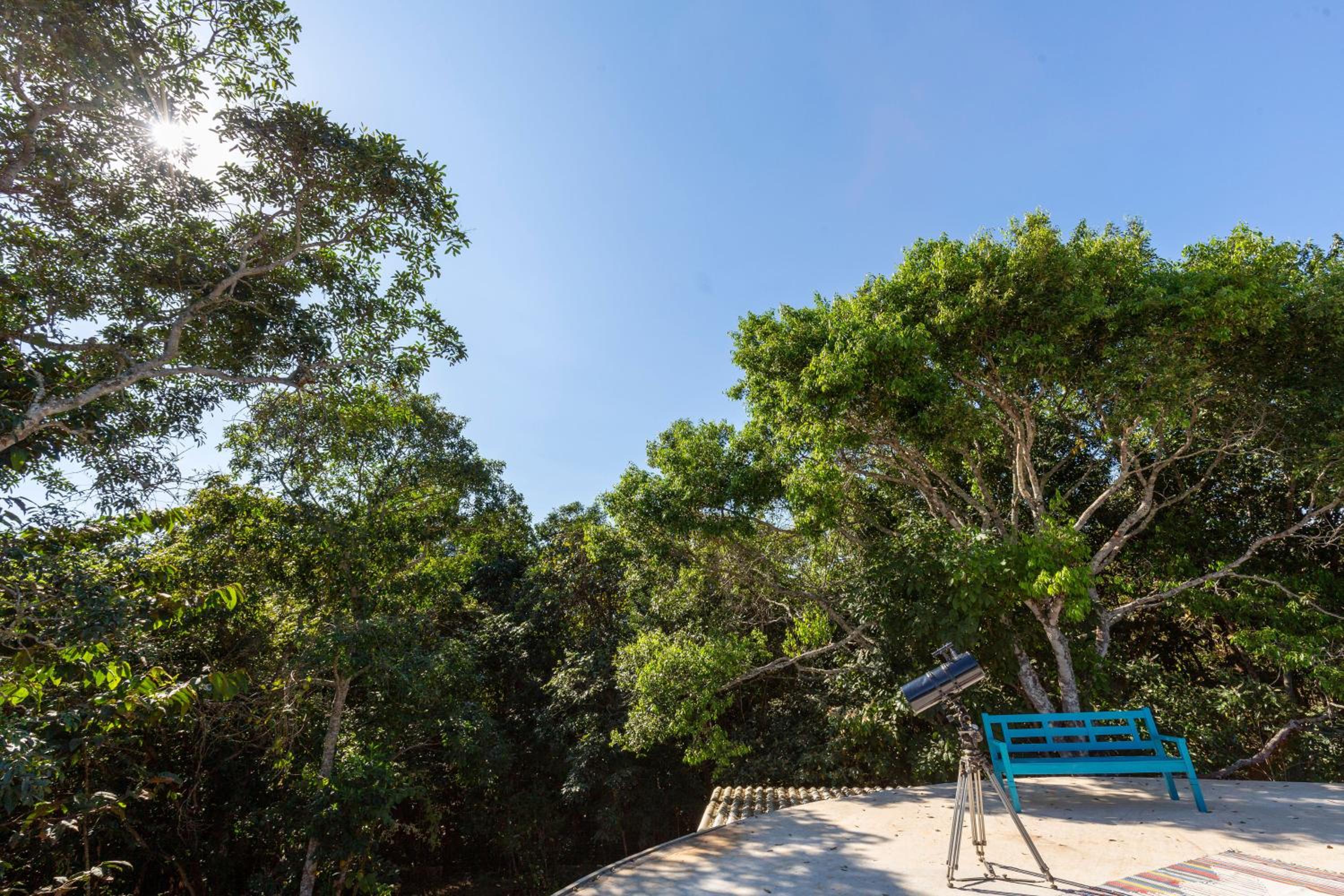 Floresta Encantada