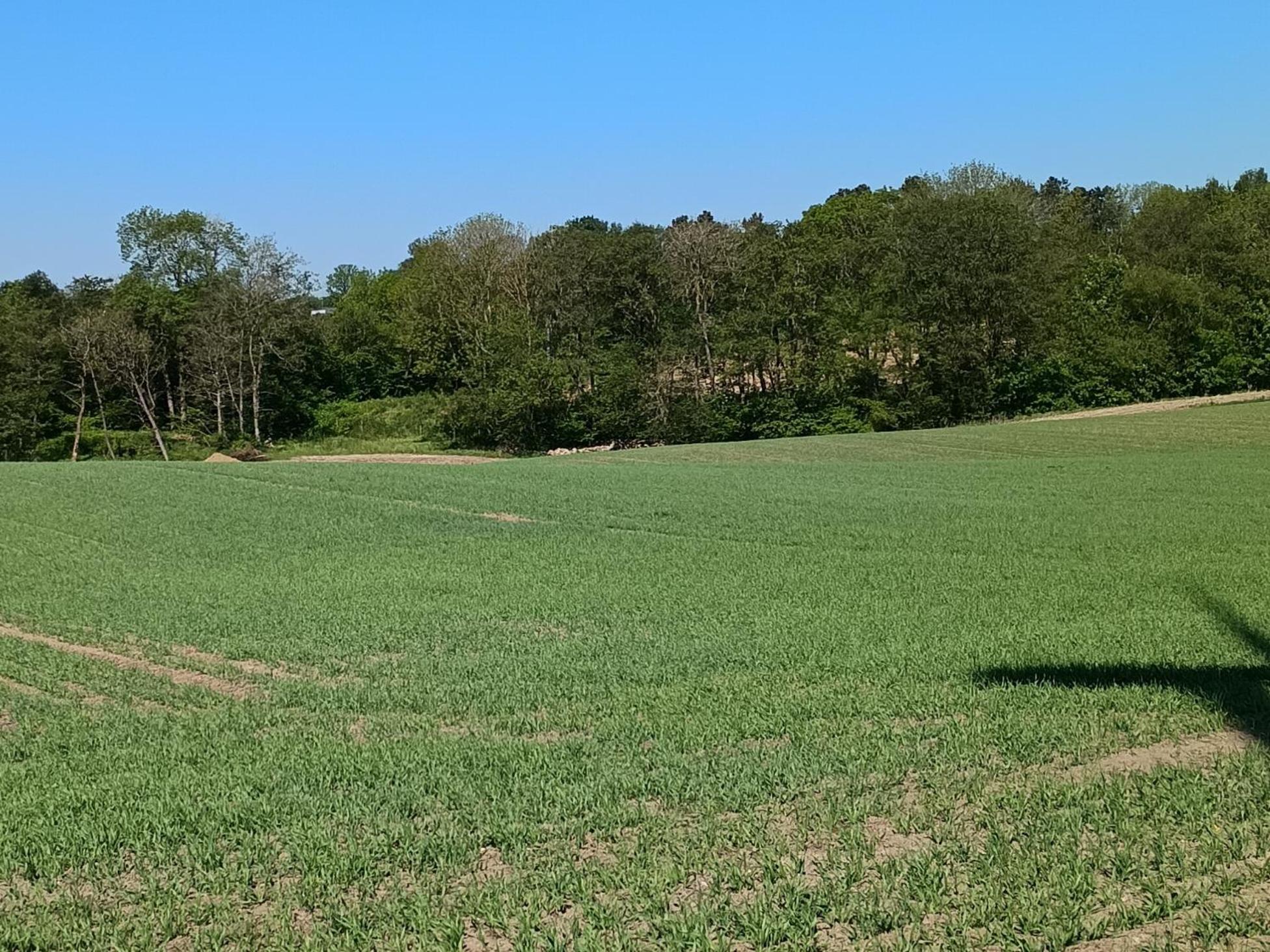 70 m2 Anneks på gården