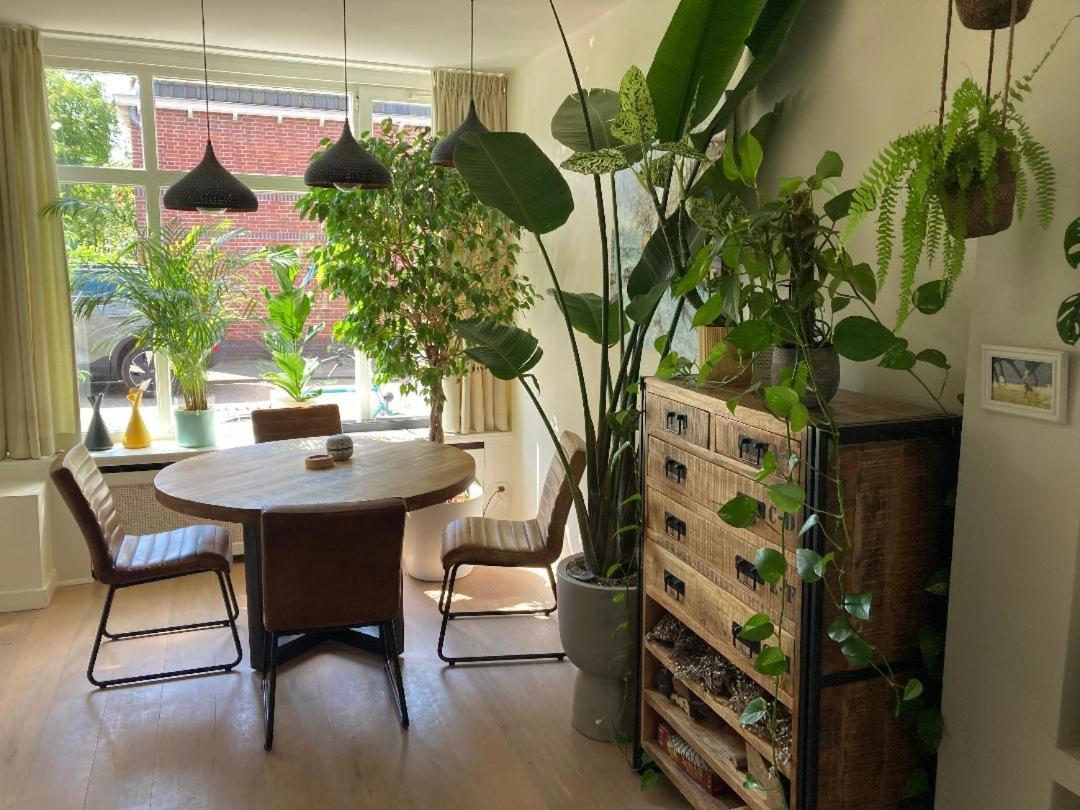 Charming little palace near the city center only bookable for long stay whole February 2026 view 4