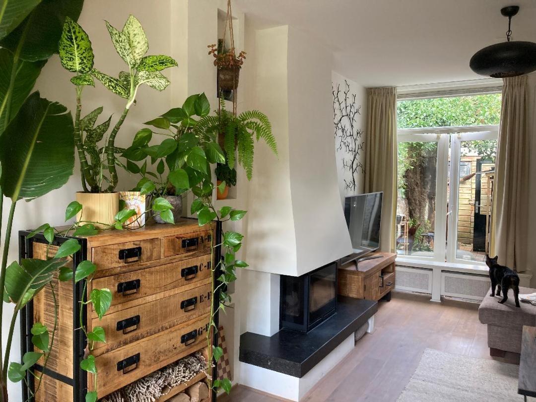 Charming little palace near the city center only bookable for long stay whole February 2026 view 5