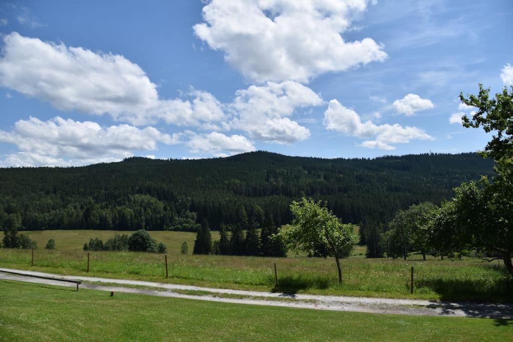 Chata s výhledem do údolí Frymburk, Náhlov