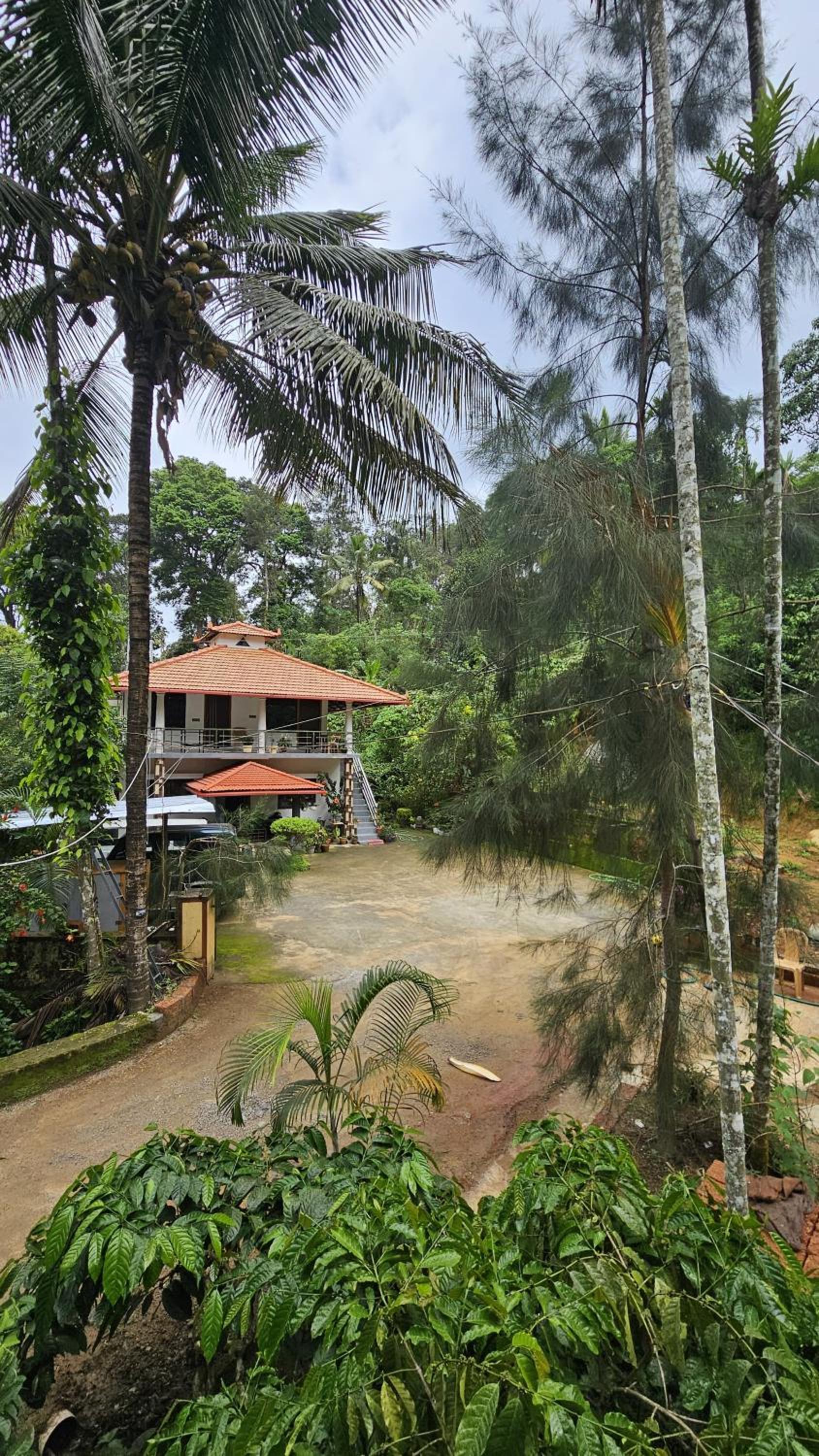 Vasu estate villa view 4