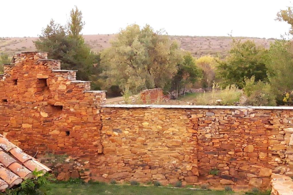Arzipreste III Wabi Sabi