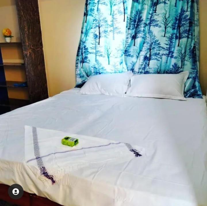 Hampi Chandu Homestay view 5