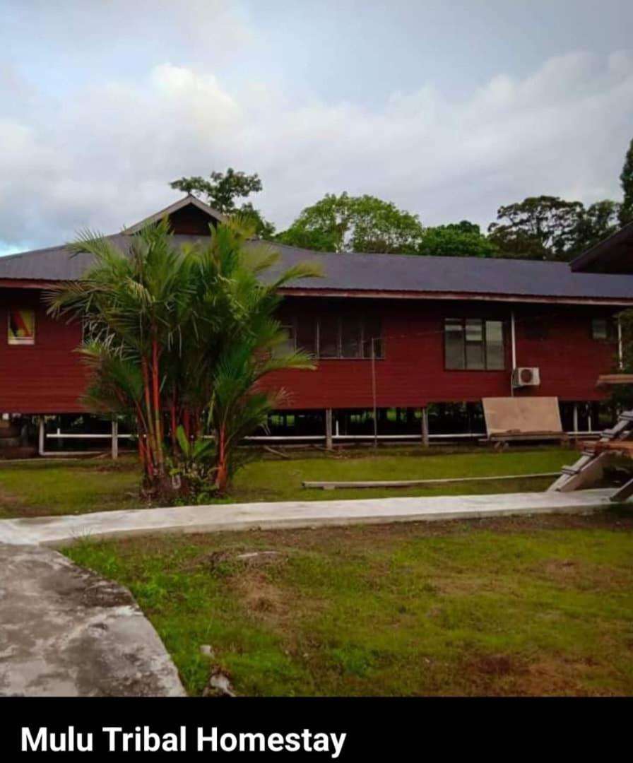 Mulu Tribal Homestay photo 1