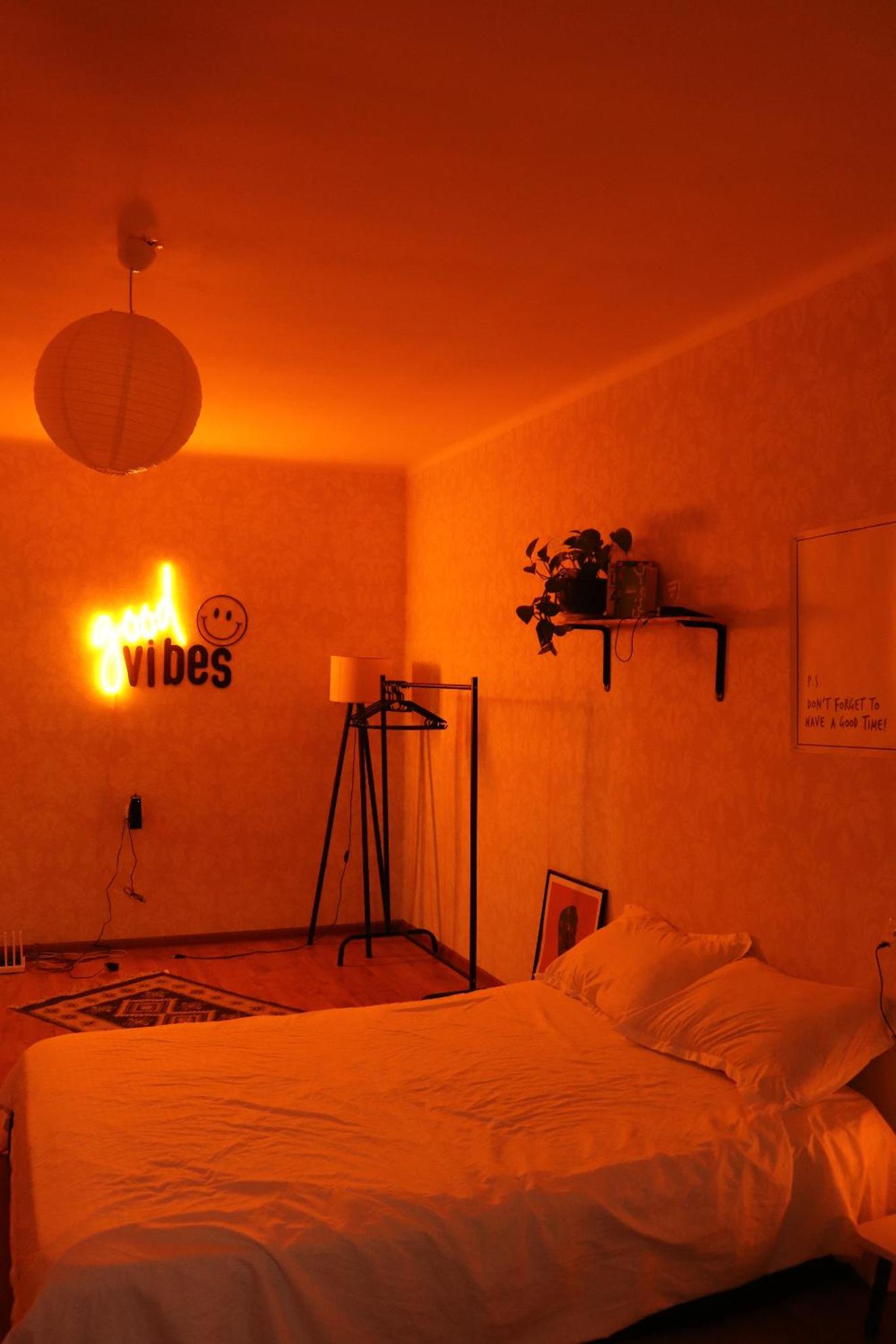 Cozy apartment