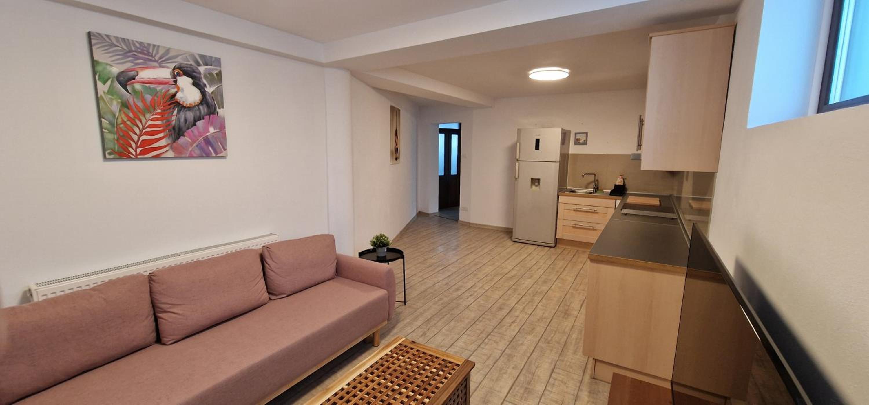 Apartamente Dragasani view 5