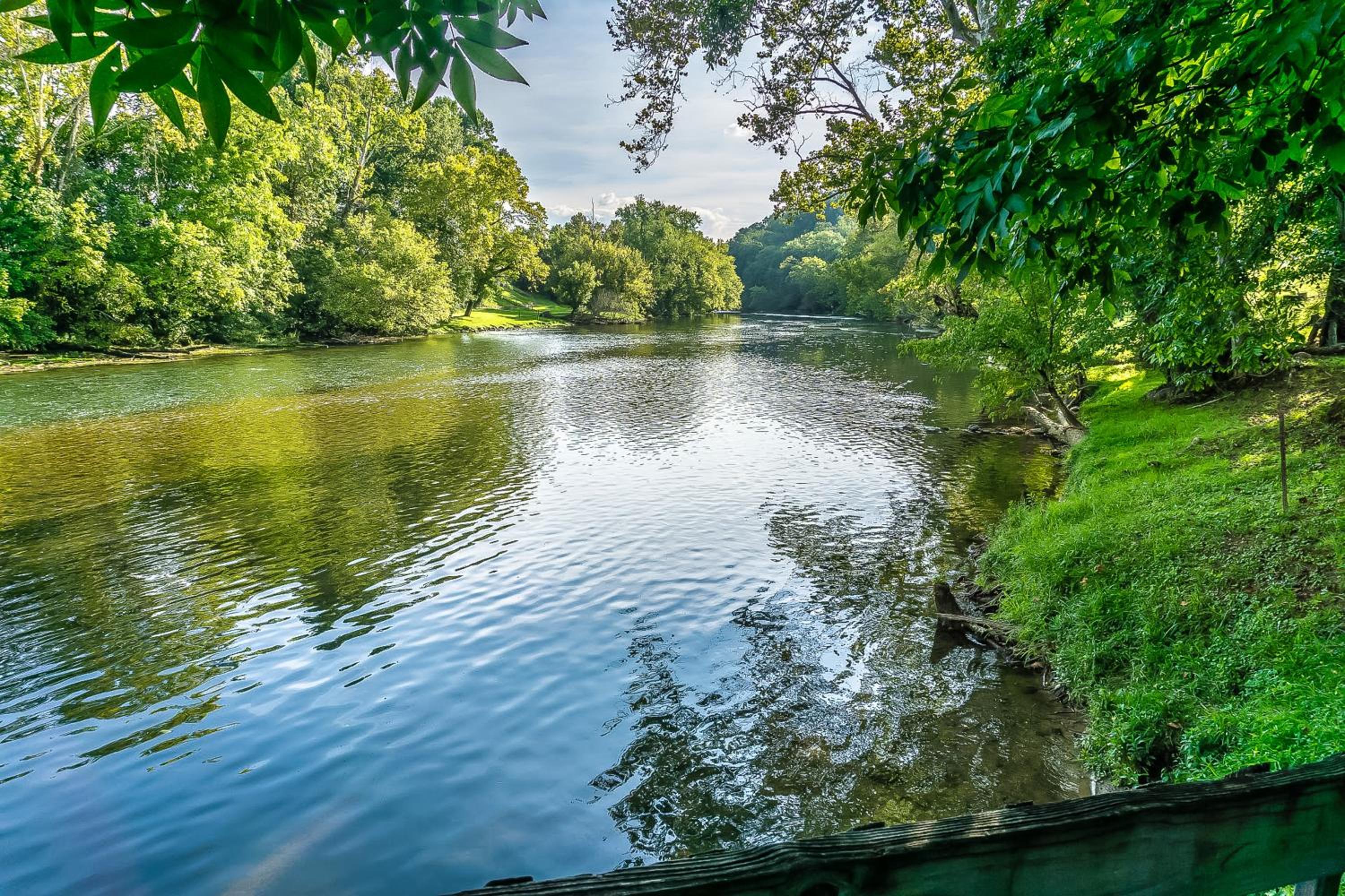 Dock! Riverfront Anglers Oasis in Elizabethton
