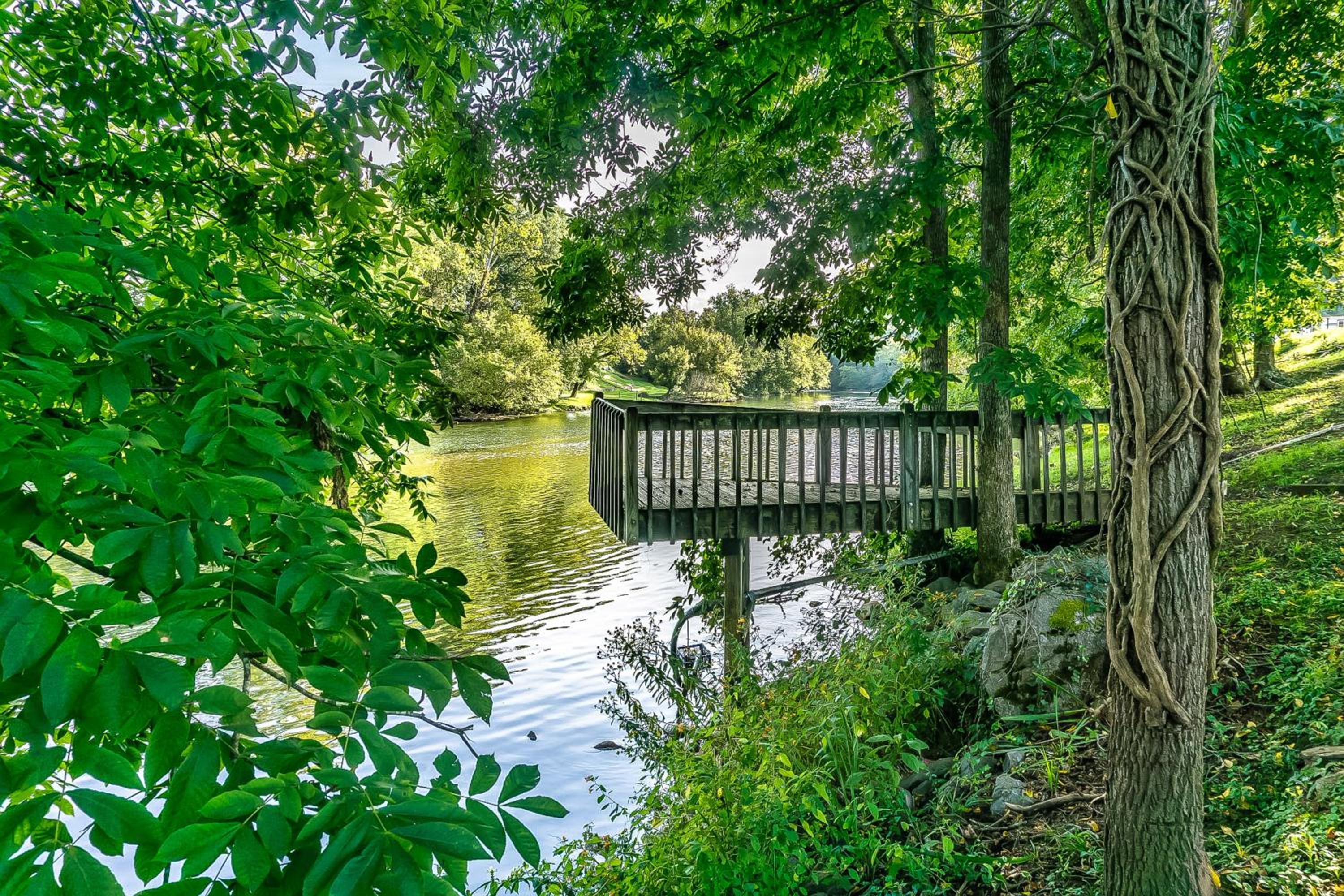 Dock! Riverfront Anglers Oasis in Elizabethton