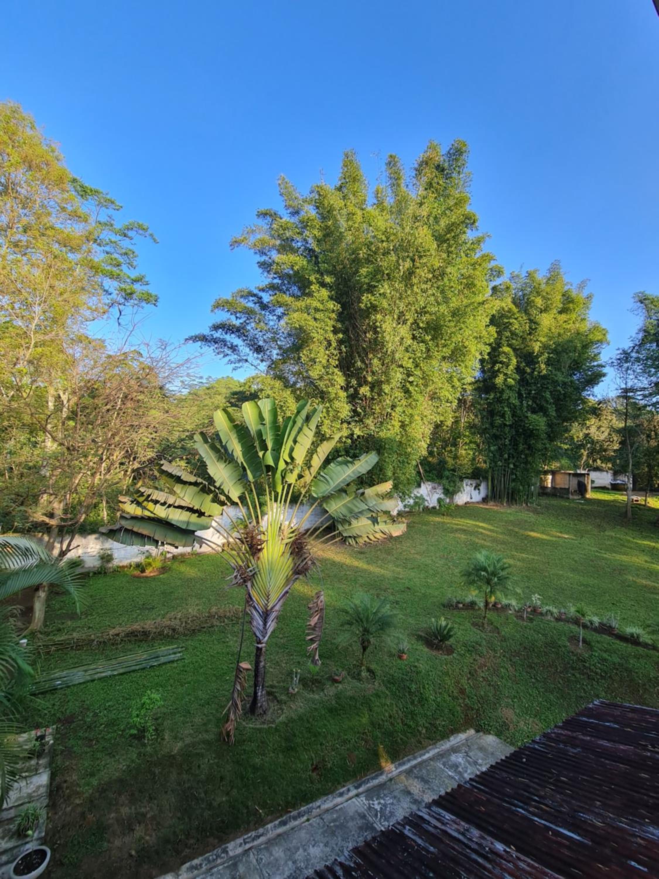Jardín de los Anturios, Xico