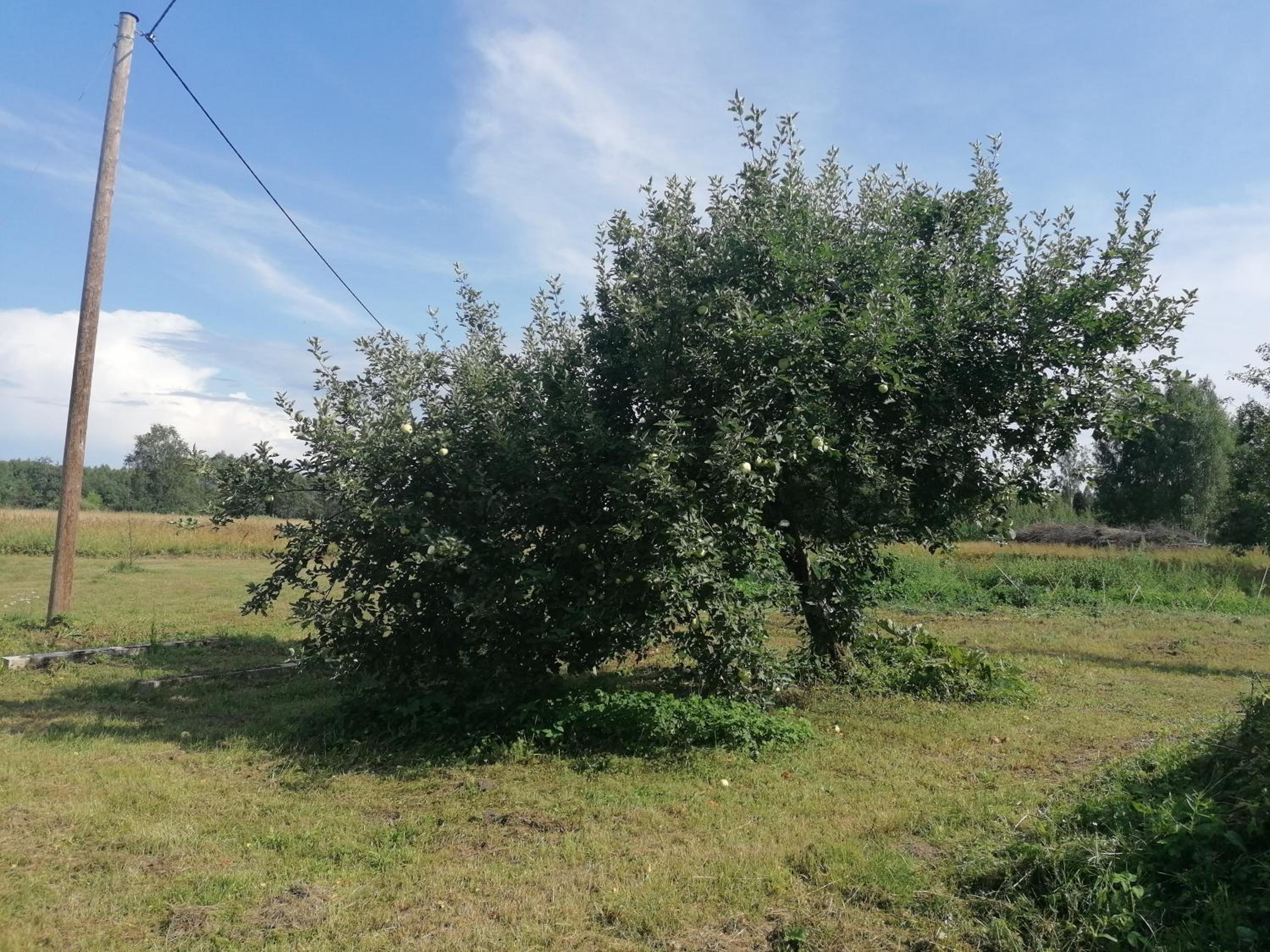 Sillavahi maja
