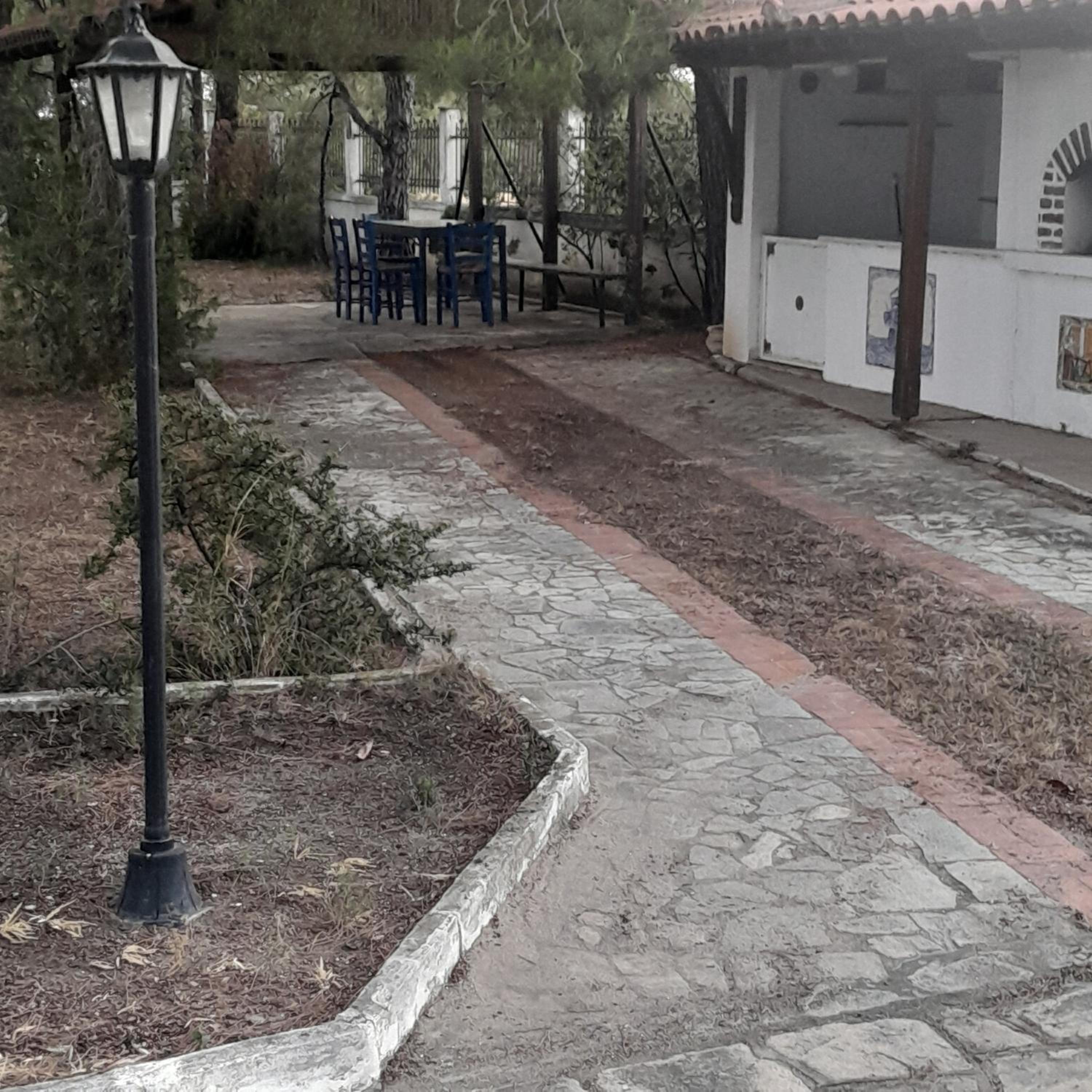 Photo 45