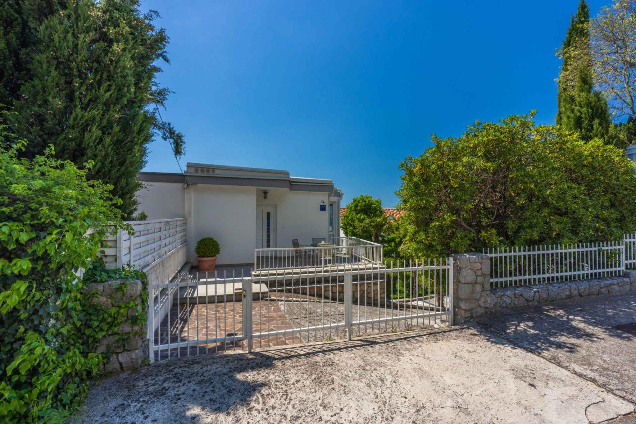 Apartments in Crikvenica 45073