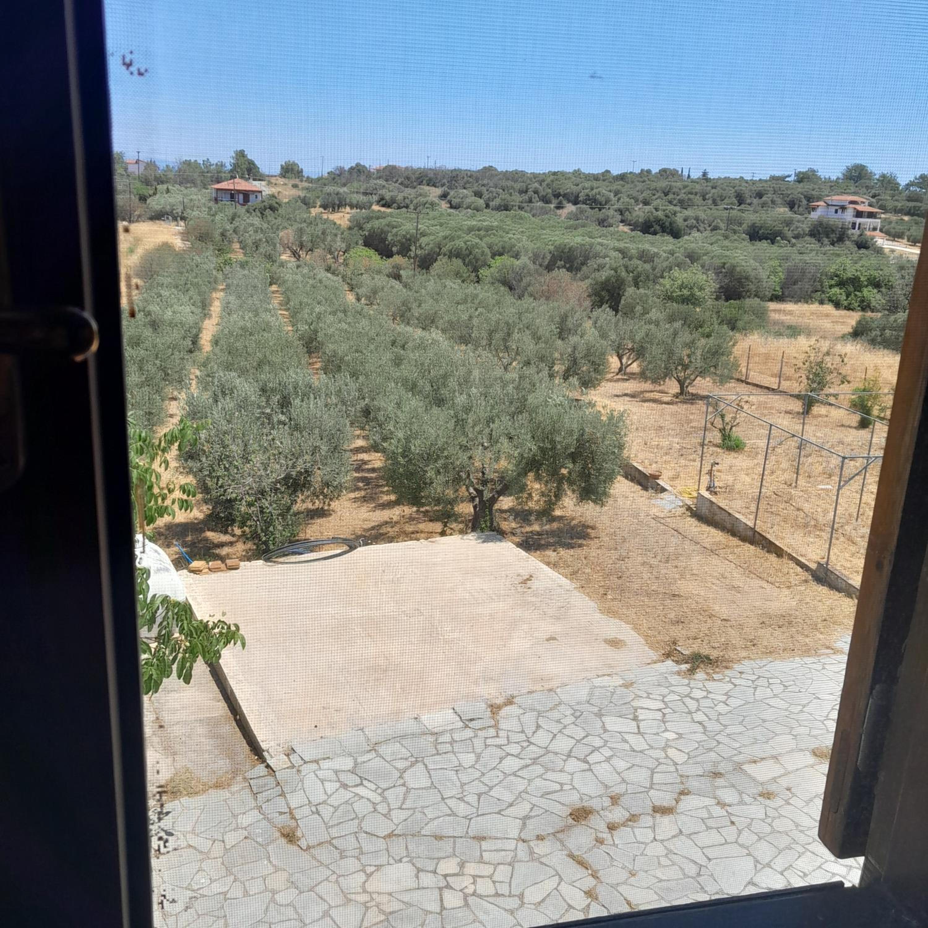 Photo 32