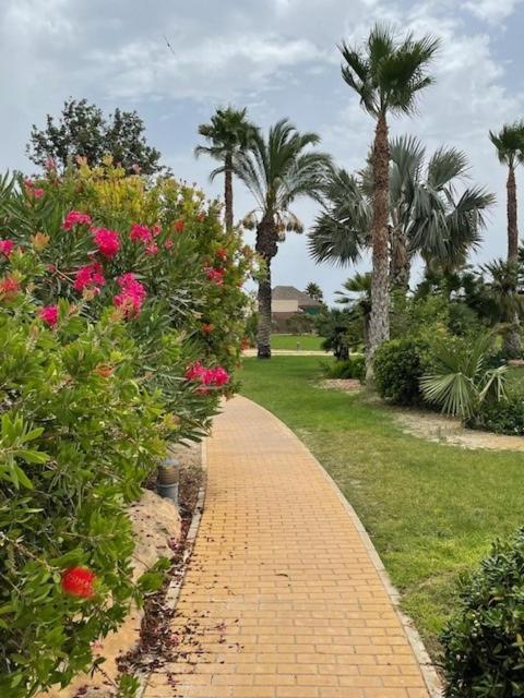 Bajo con jardín en primera línea de playa view 4