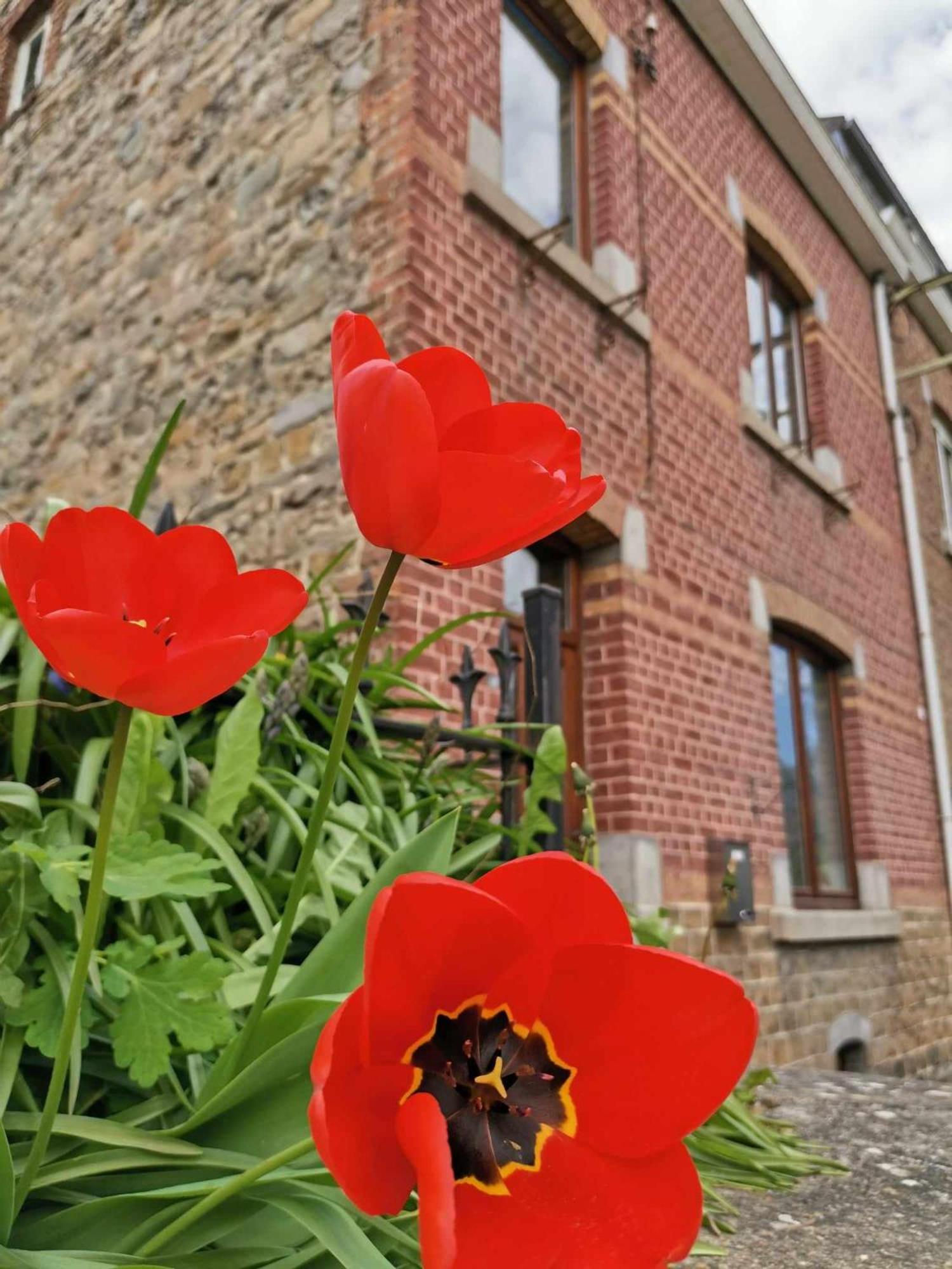 L'échappée belle